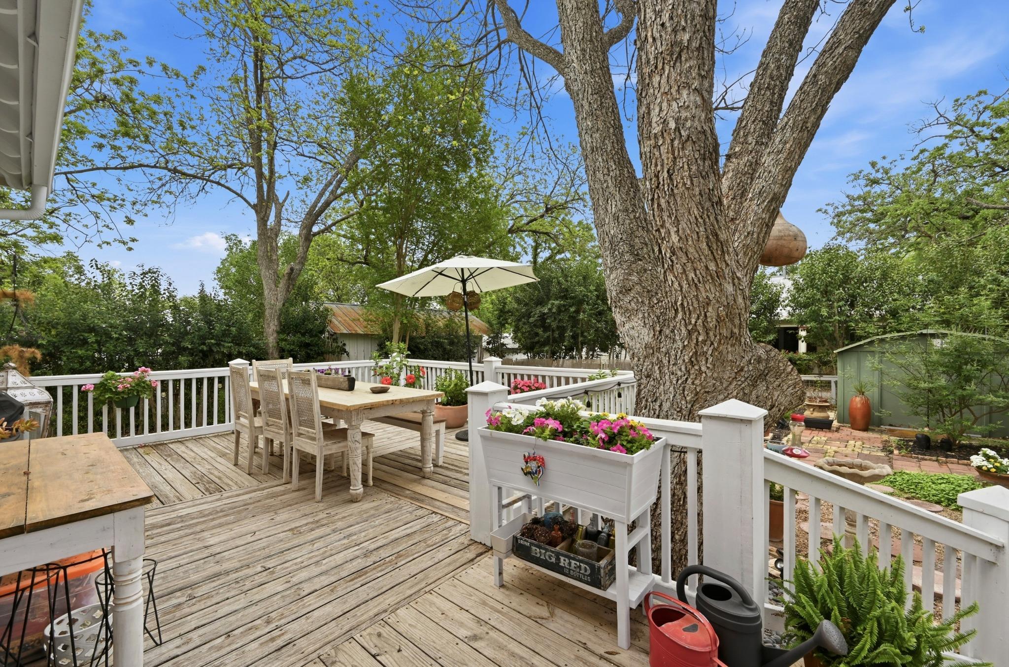 221 N Johnson Ave, San Marcos, TX 78666