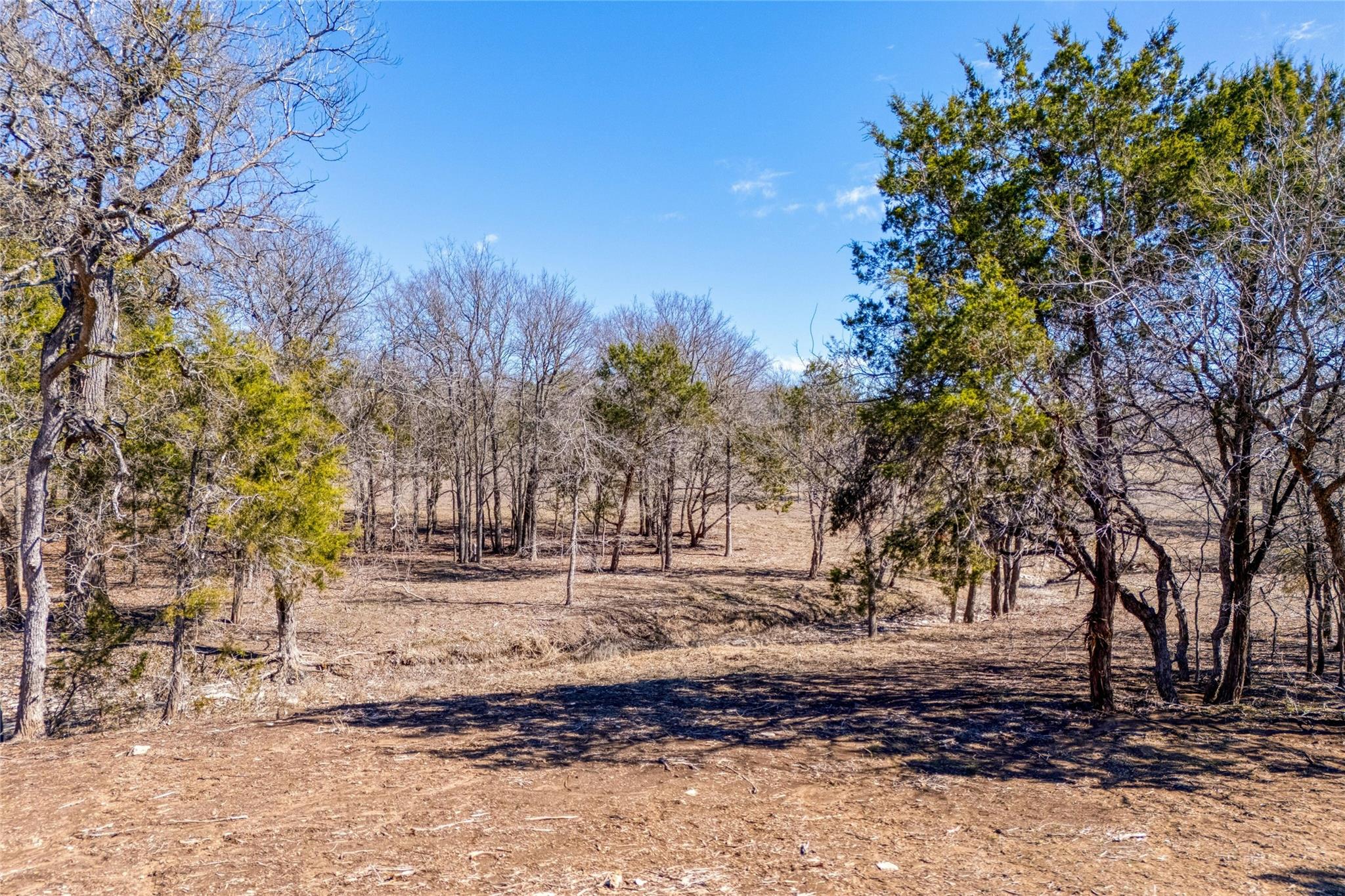 2160 County Road 204, Liberty Hill, TX 78642