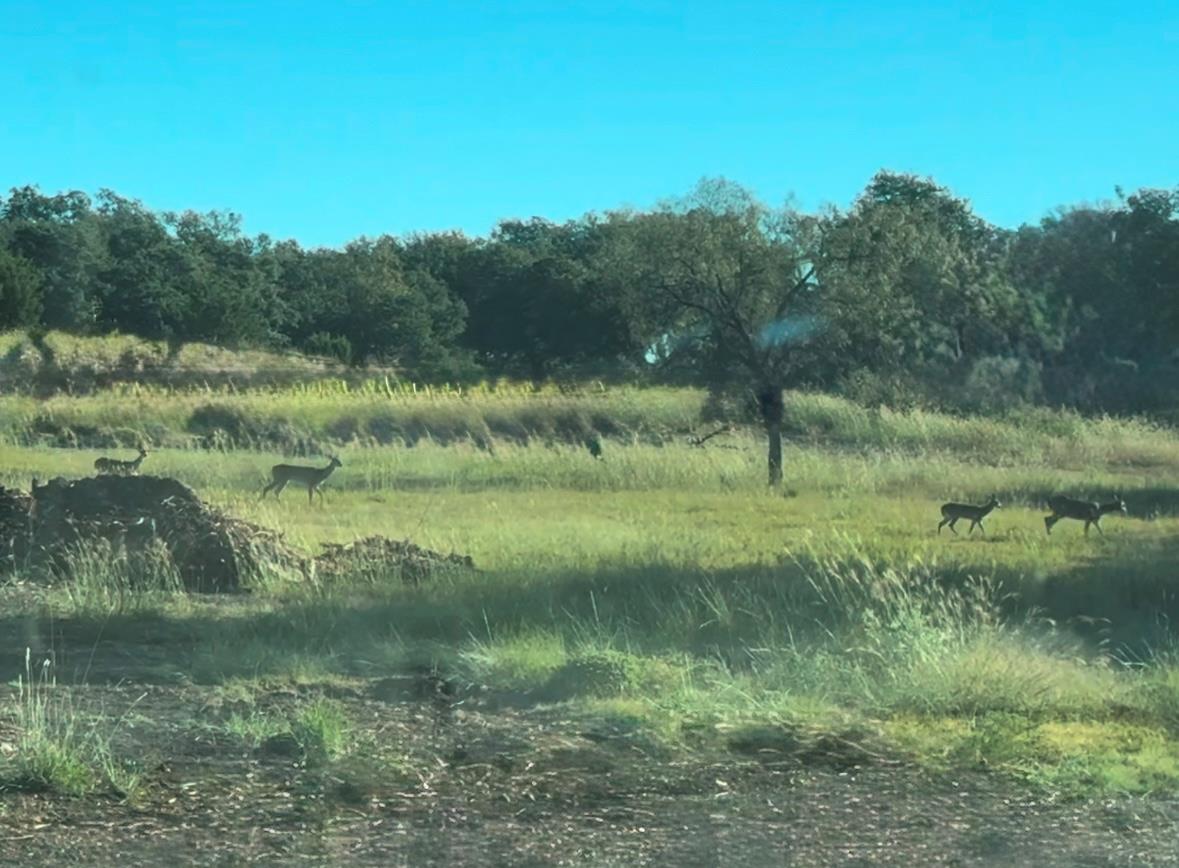 2160 County Road 204, Liberty Hill, TX 78642