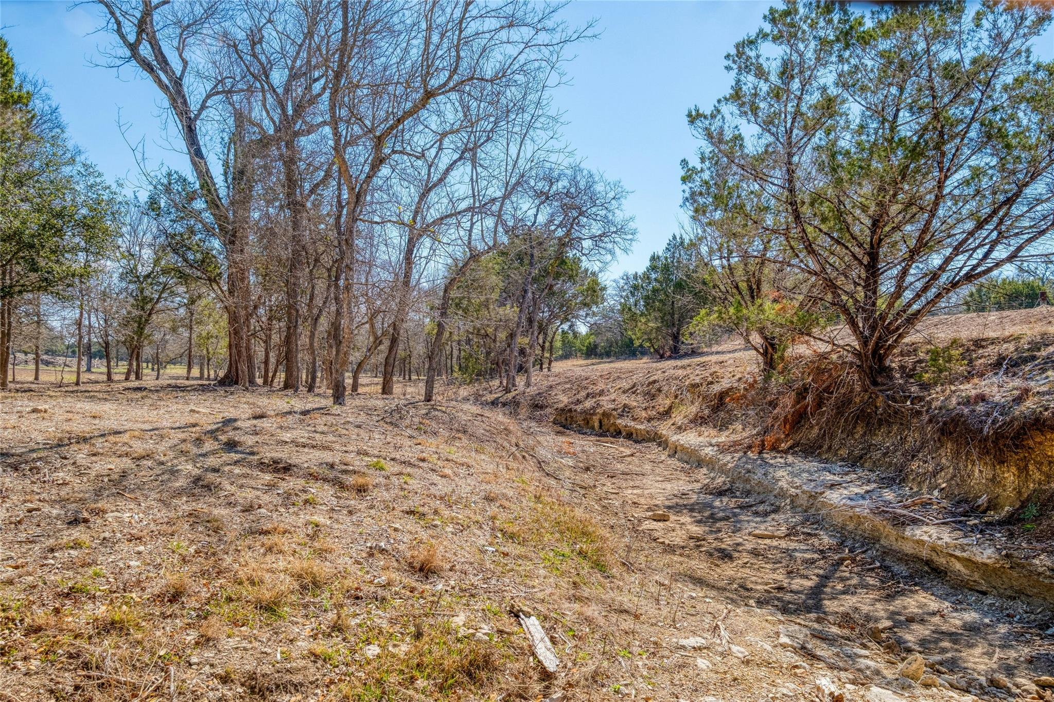 2160 County Road 204, Liberty Hill, TX 78642