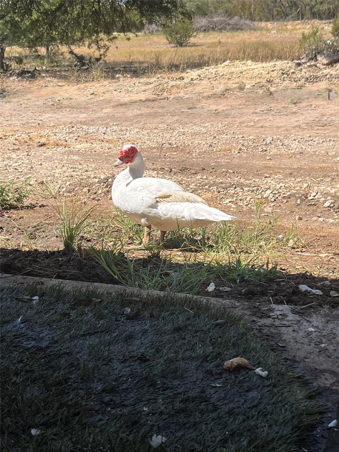 2160 County Road 204, Liberty Hill, TX 78642