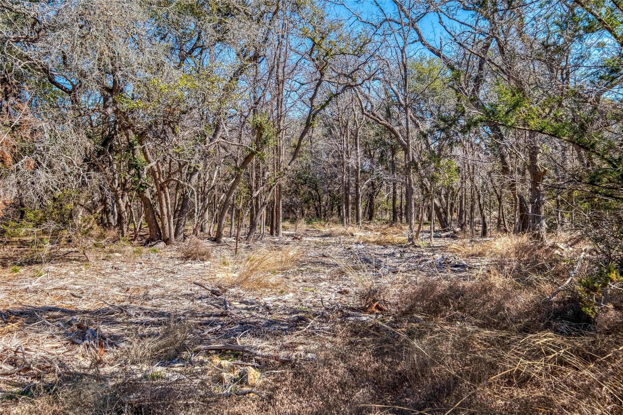 2160 County Road 204, Liberty Hill, TX 78642