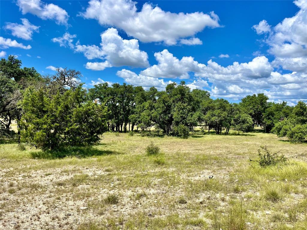 428 Summit Spring Ln, Johnson City, TX 78636