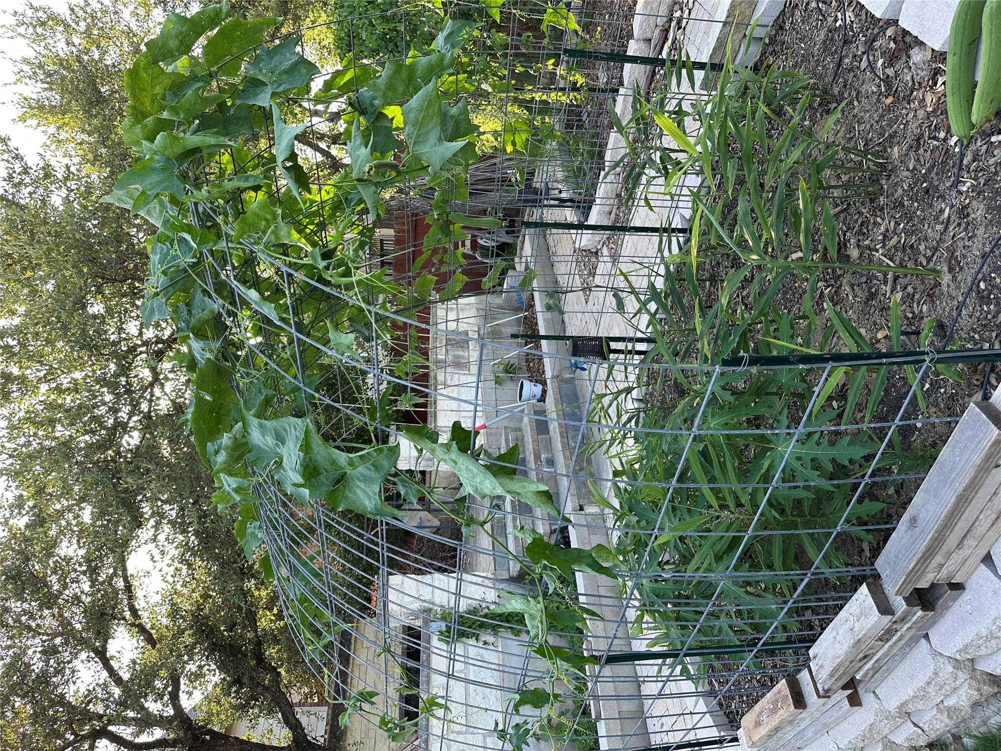 520 Cameron Cv, Cedar Park, TX 78613