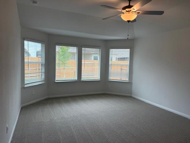 723 Universal Dr, Hutto, TX 78634