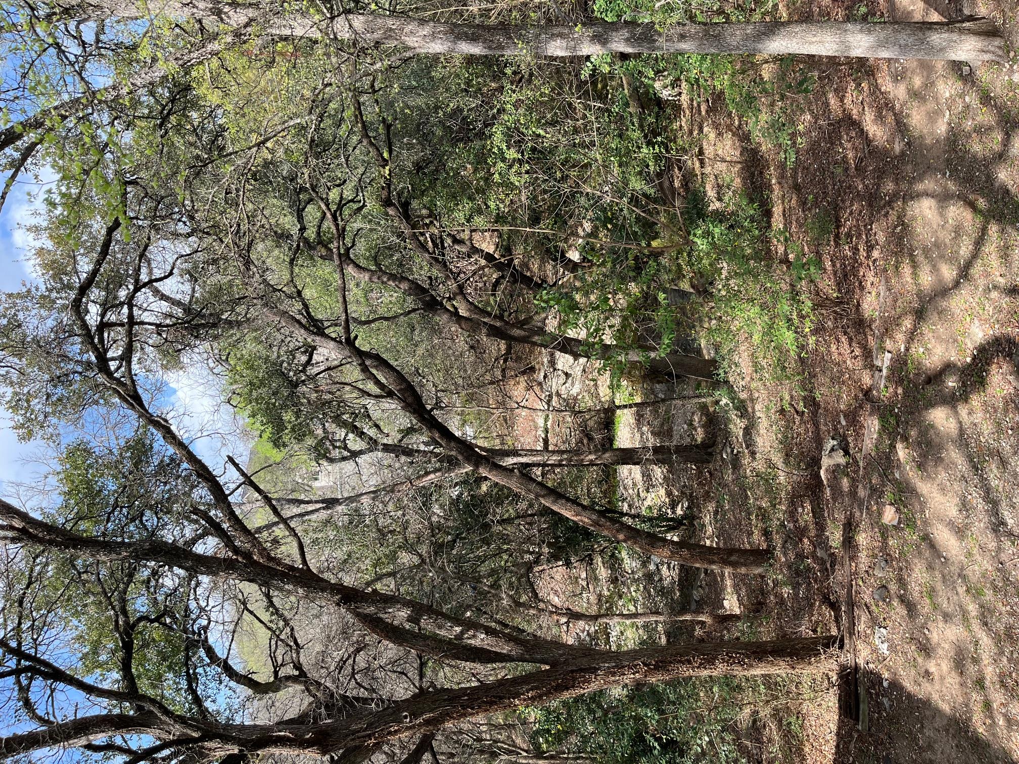 3839 Dry Creek Dr # 223, Austin, TX 78731