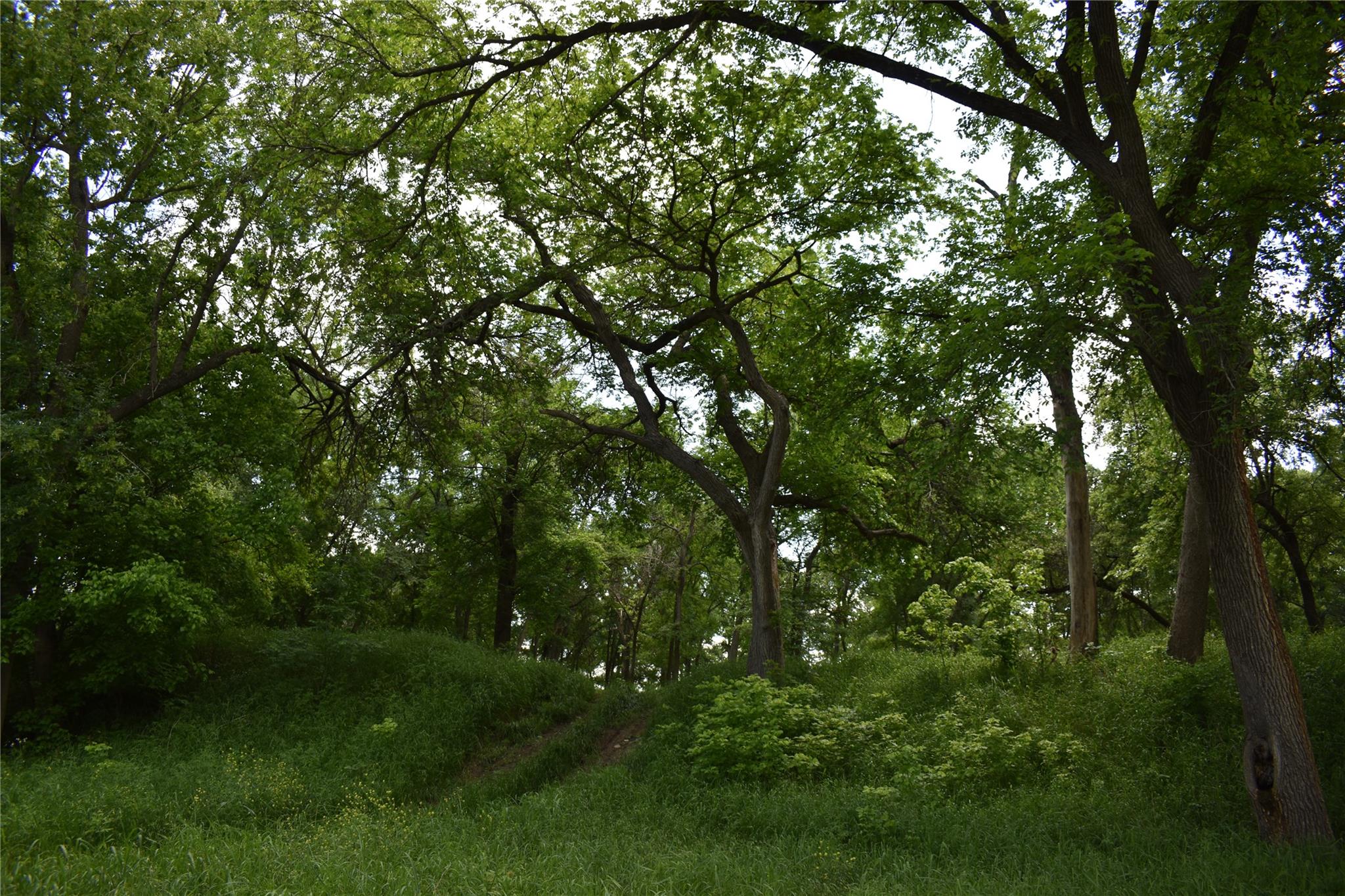 194 Gabriel Meadows Dr, Hutto, TX 78634