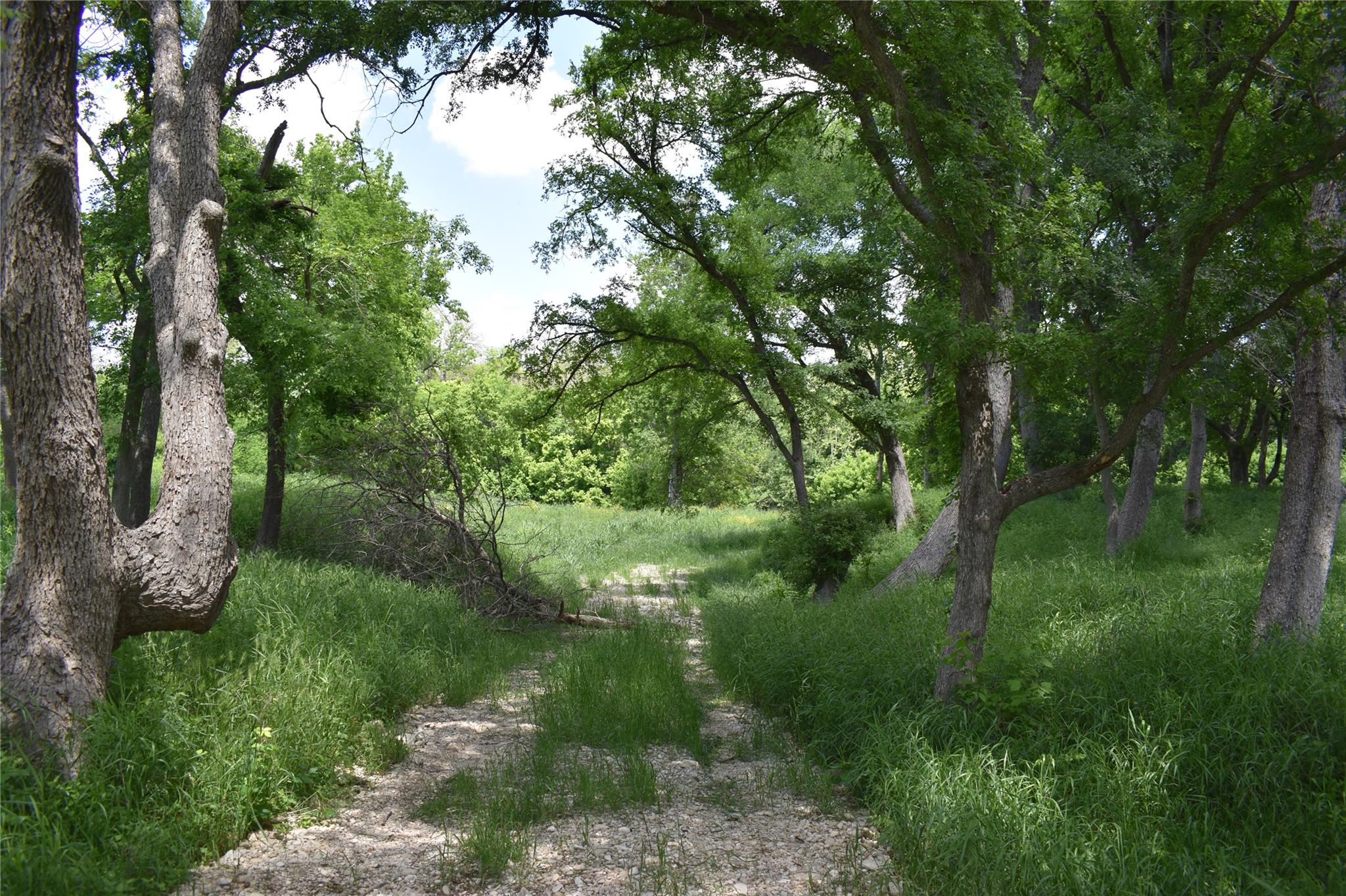 194 Gabriel Meadows Dr, Hutto, TX 78634