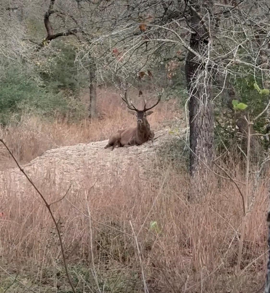 494 Flash Cir, Luling, TX 78648