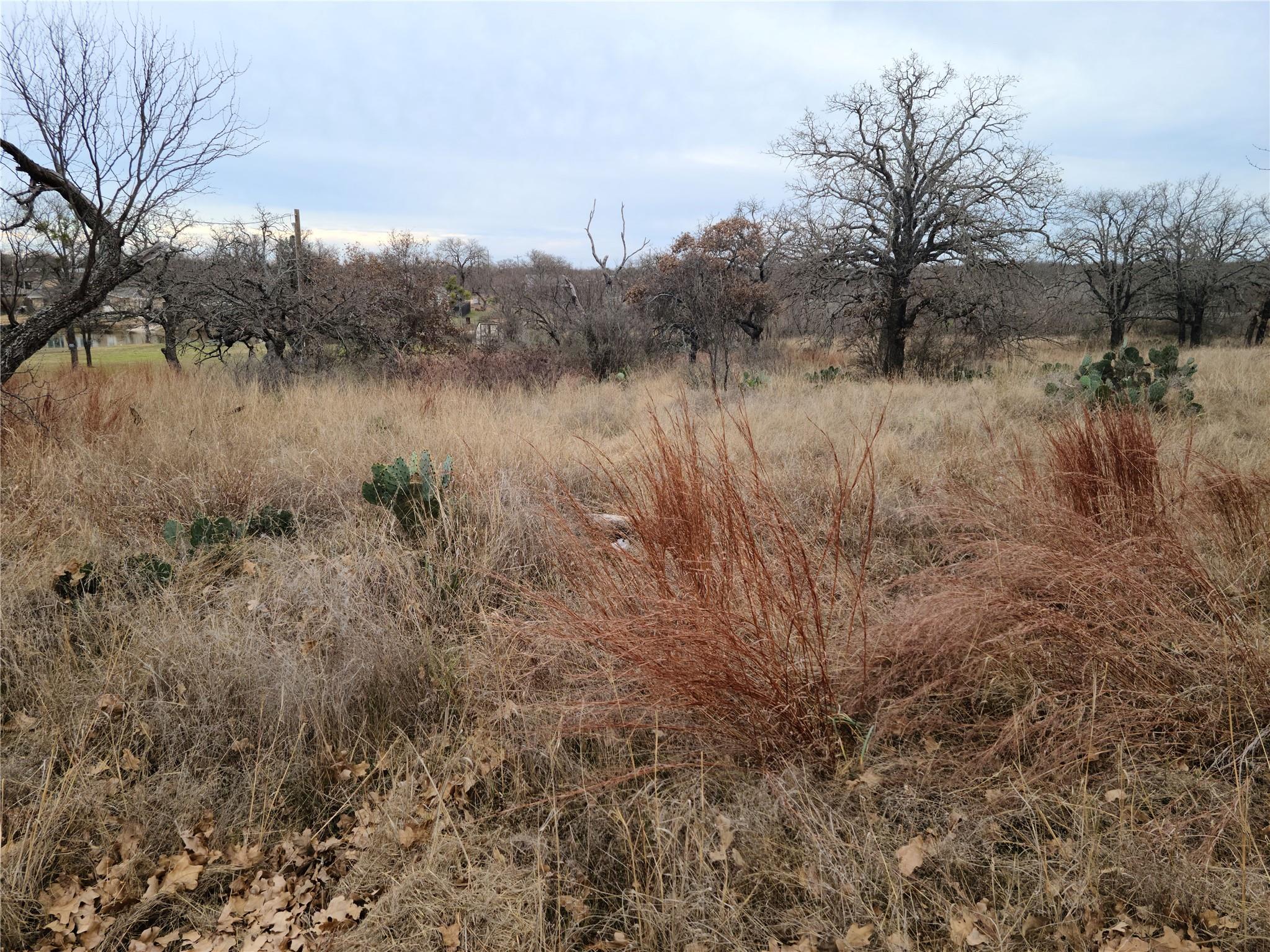 0 Peg Leg Ln, Buchanan Dam, TX 78609