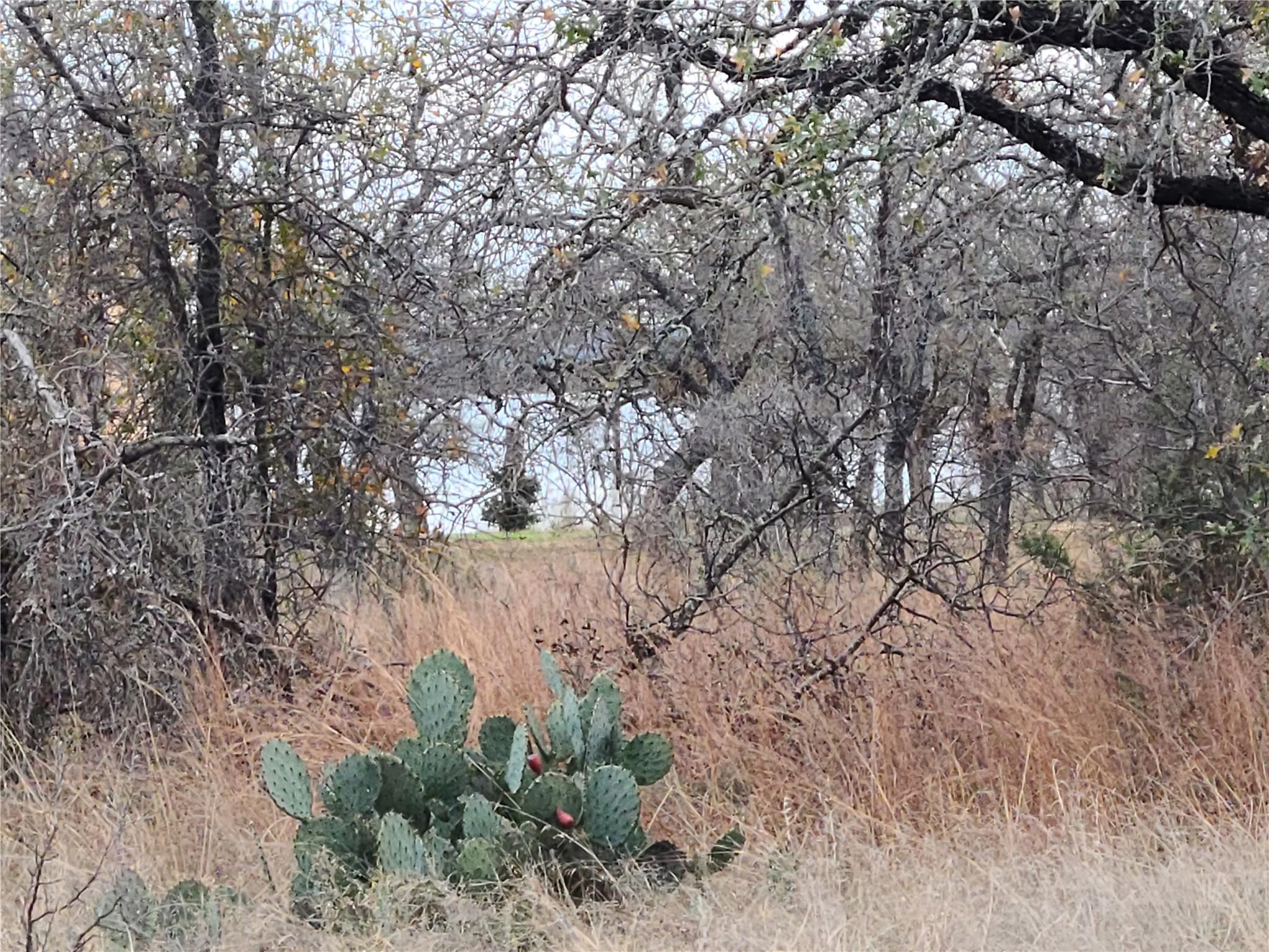 0 Peg Leg Ln, Buchanan Dam, TX 78609