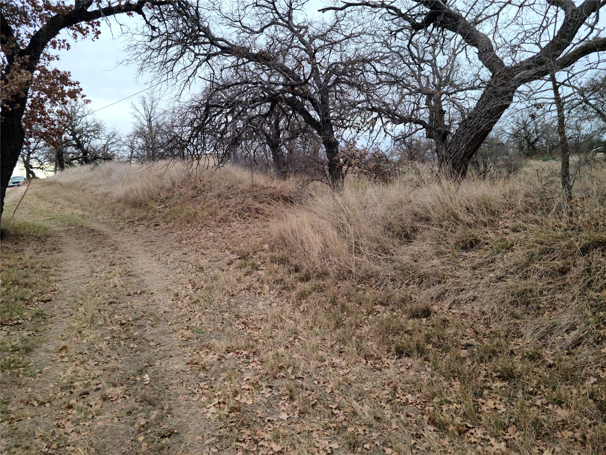 0 Peg Leg Ln, Buchanan Dam, TX 78609