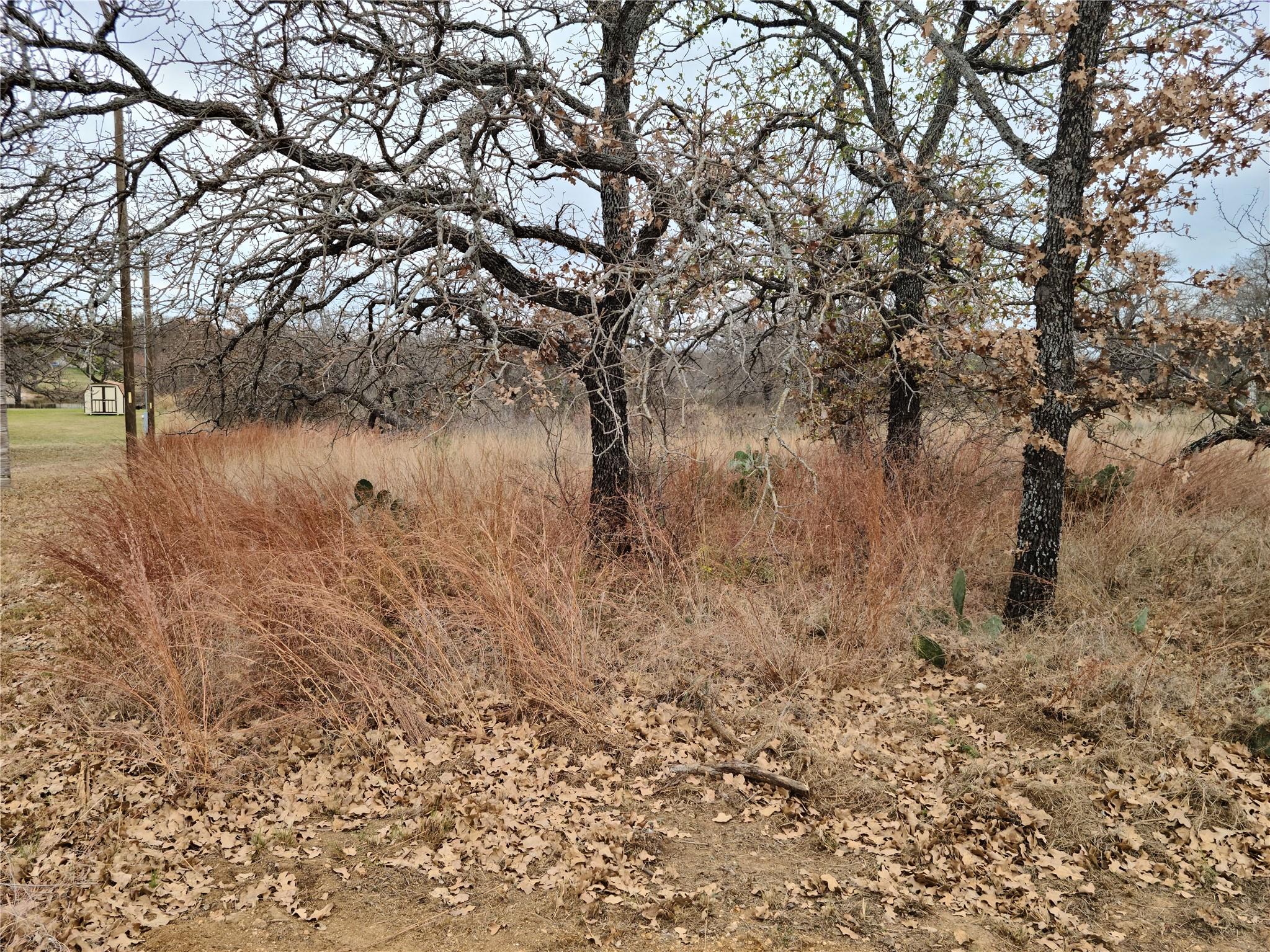 0 Peg Leg Ln, Buchanan Dam, TX 78609