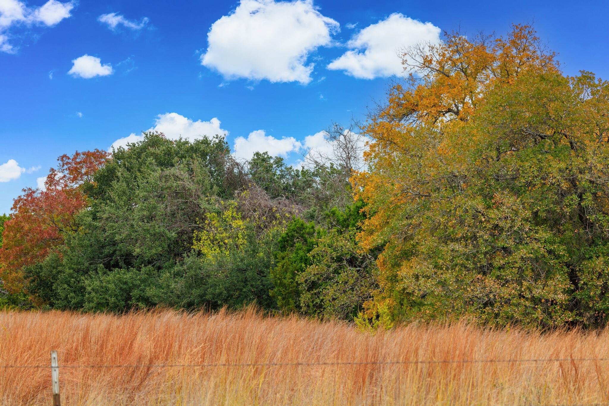 0 Ranch Road 965, Fredericksburg, TX 78624