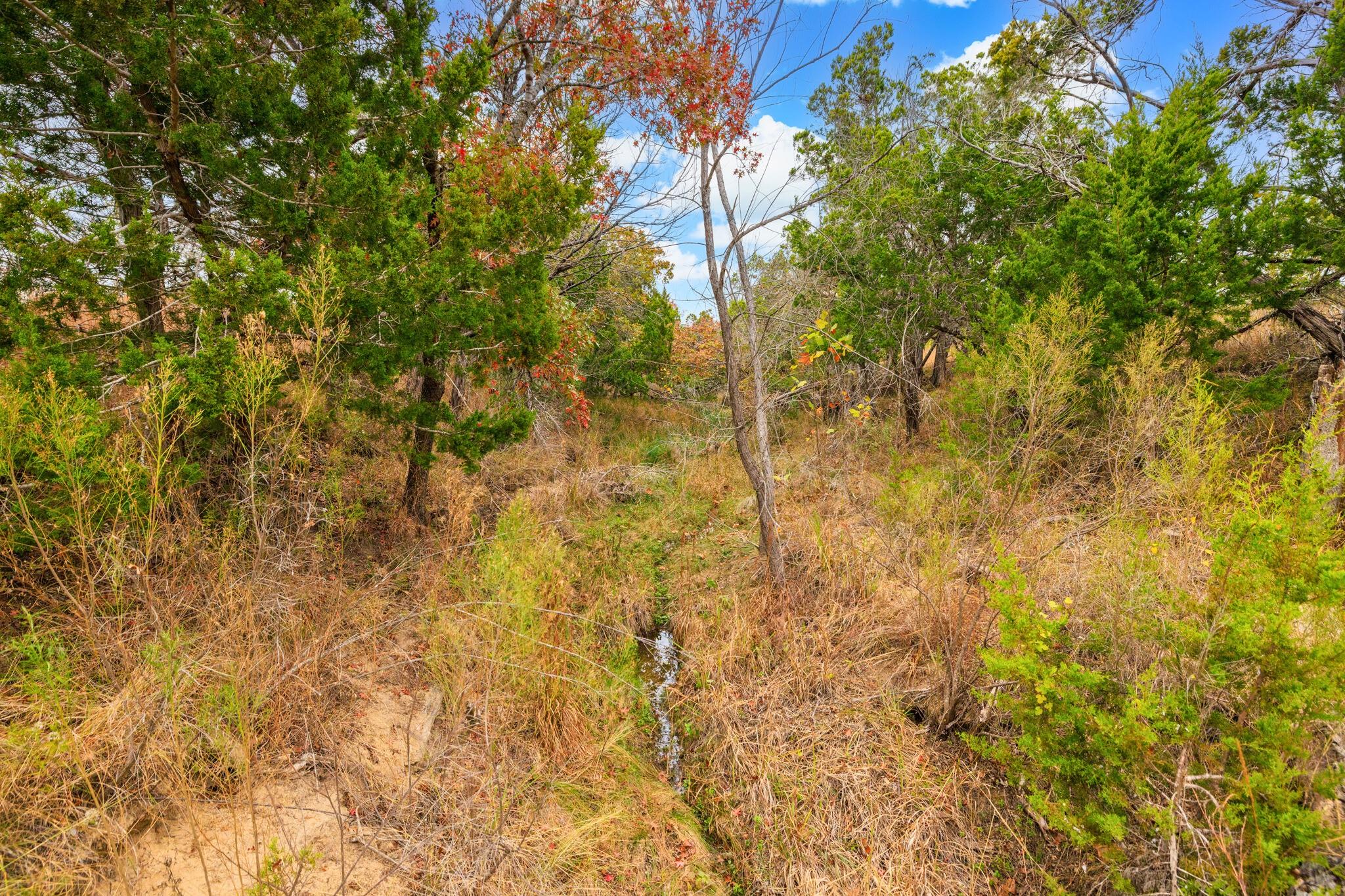 0 Ranch Road 965, Fredericksburg, TX 78624