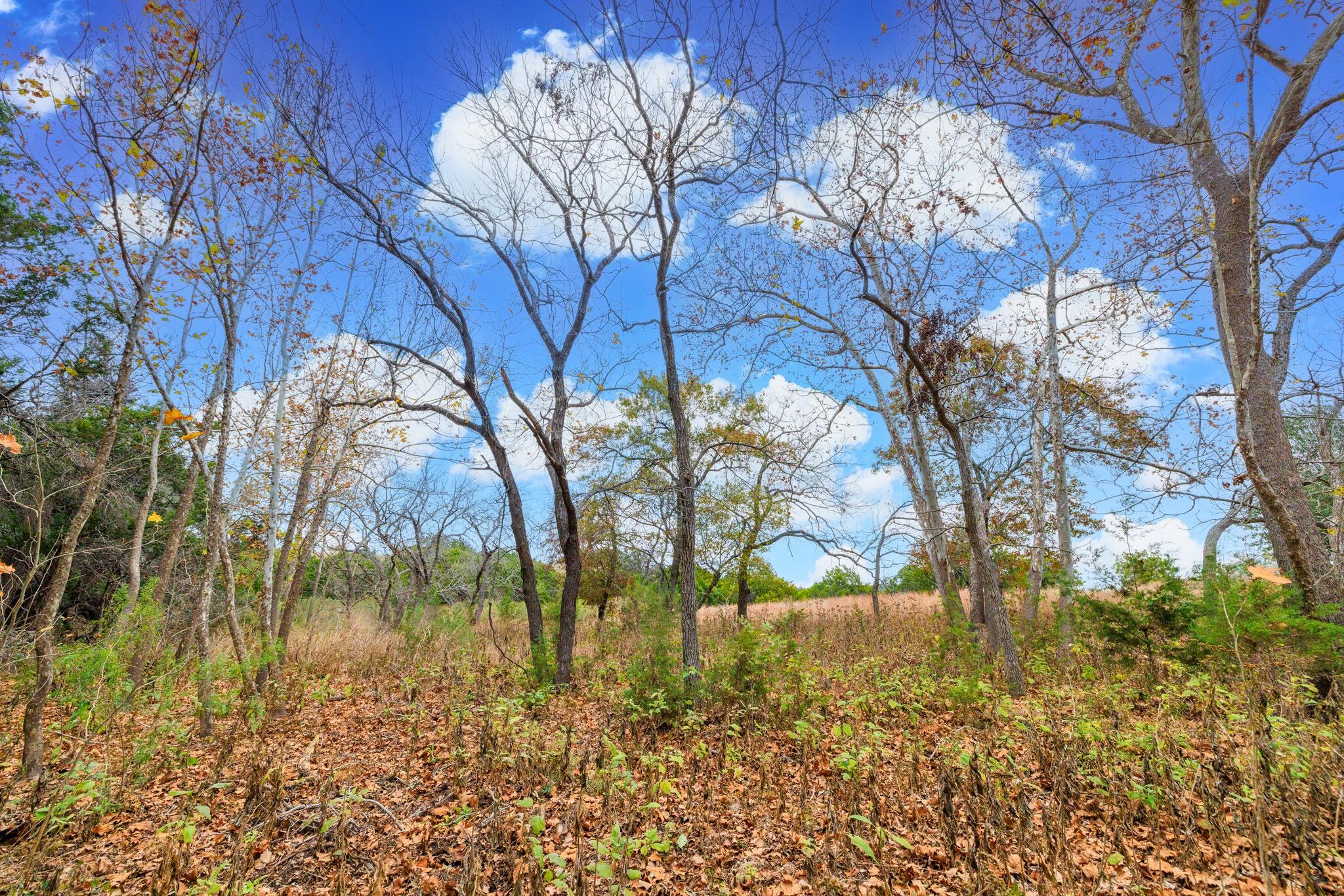 0 Ranch Road 965, Fredericksburg, TX 78624