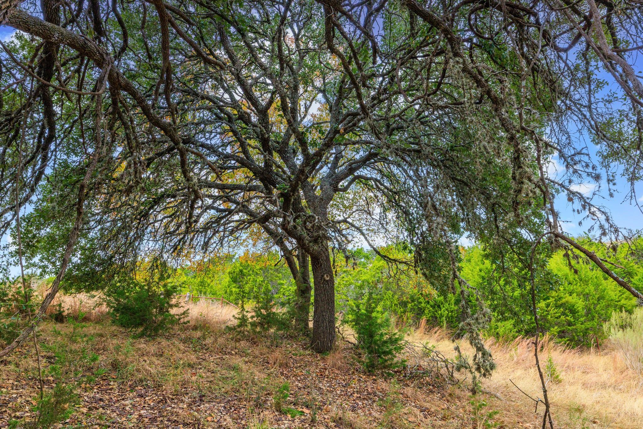 0 Ranch Road 965, Fredericksburg, TX 78624