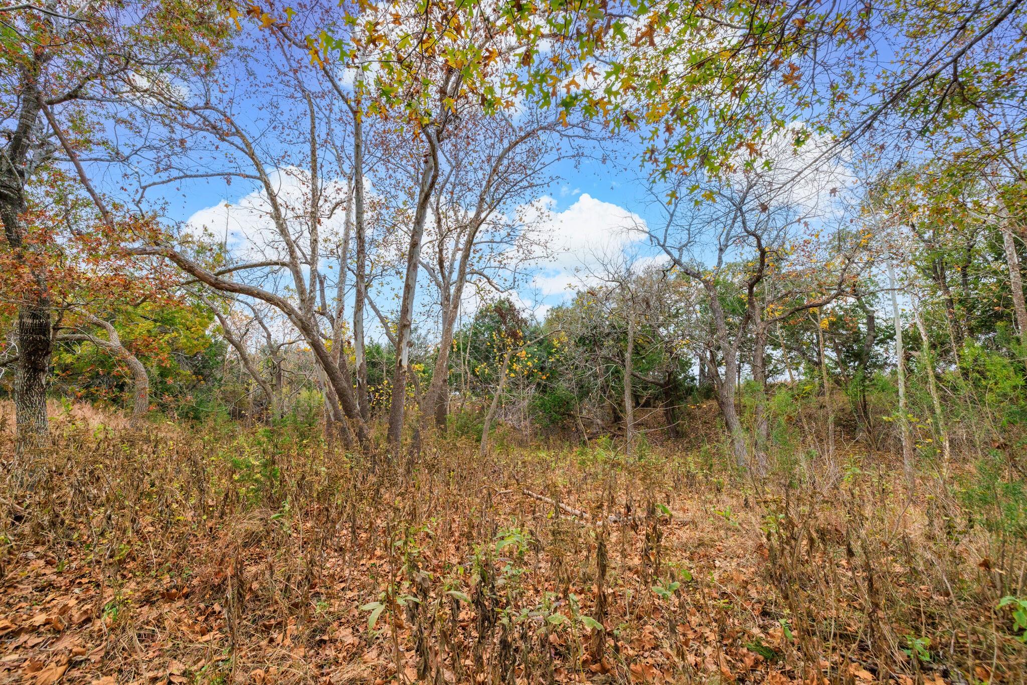 0 Ranch Road 965, Fredericksburg, TX 78624