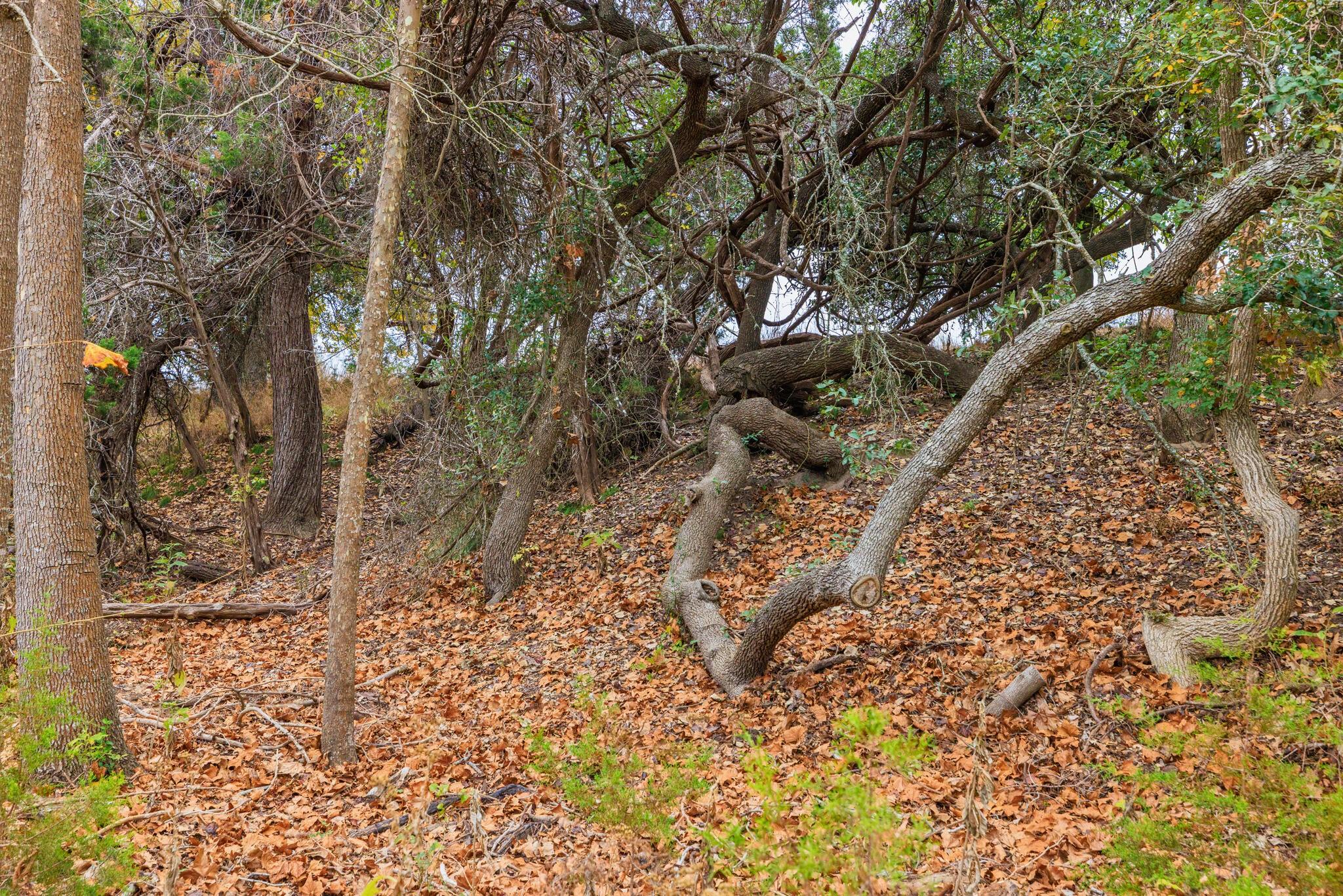 0 Ranch Road 965, Fredericksburg, TX 78624