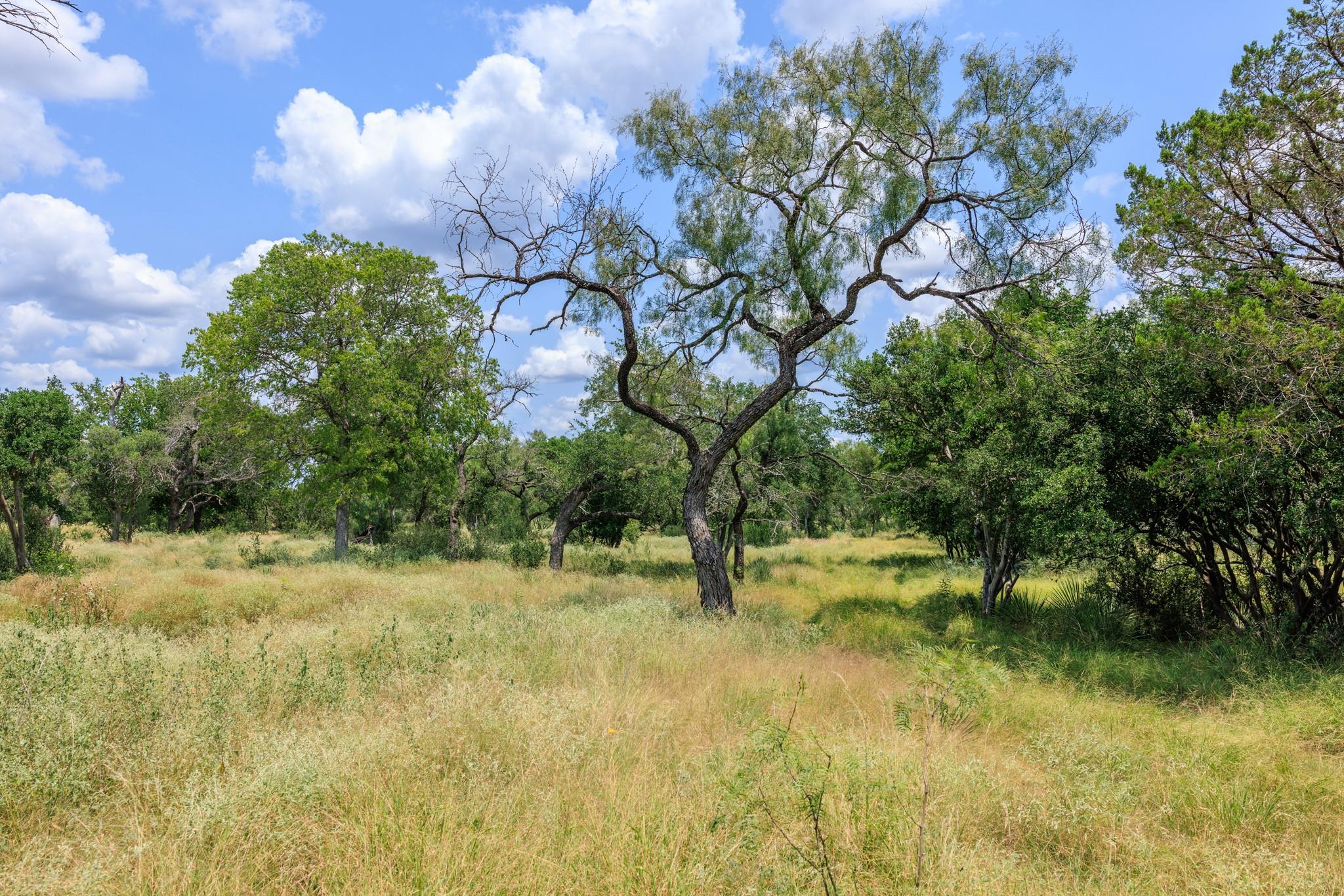 0 Ranch Road 648, Doss, TX 78618