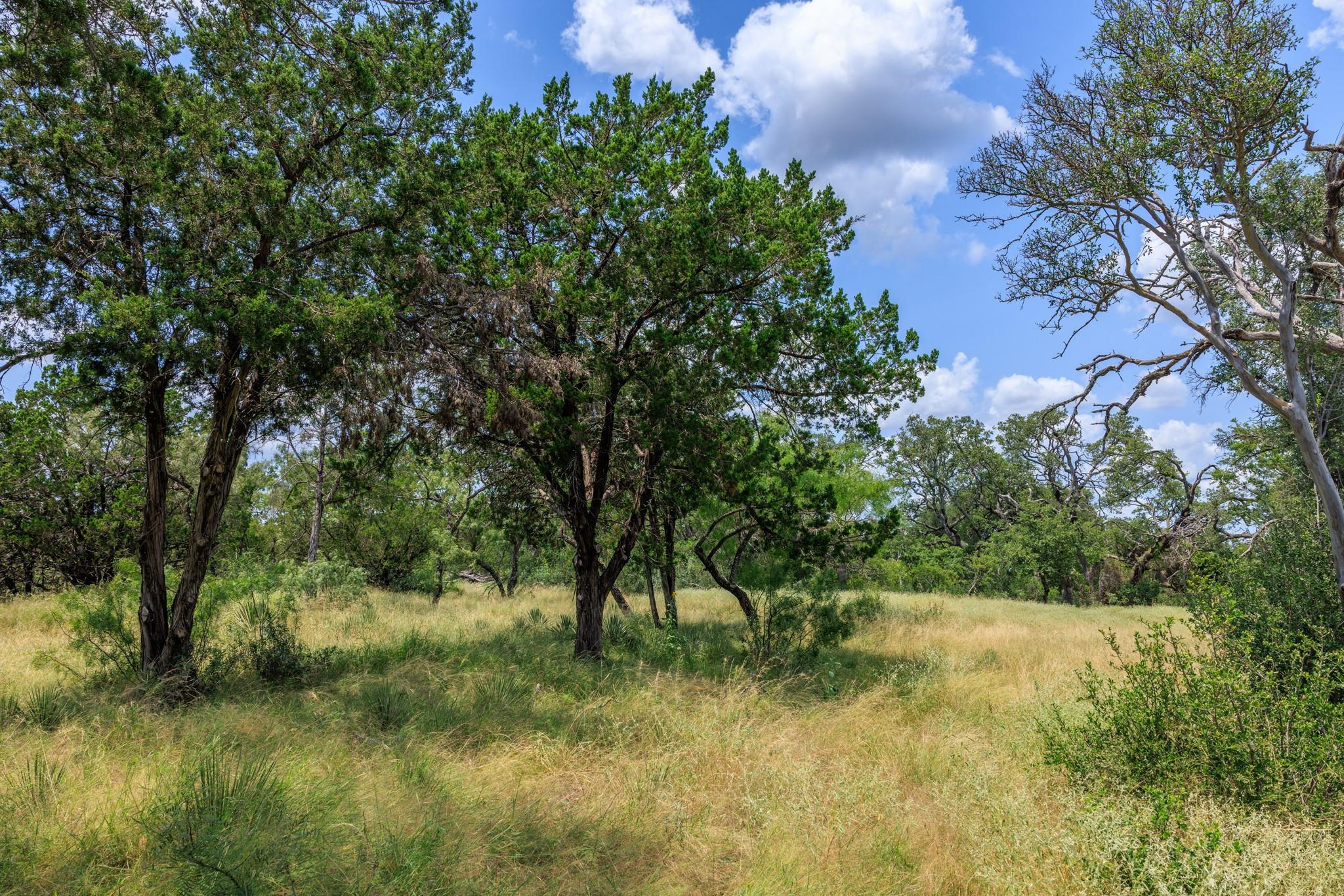 0 Ranch Road 648, Doss, TX 78618