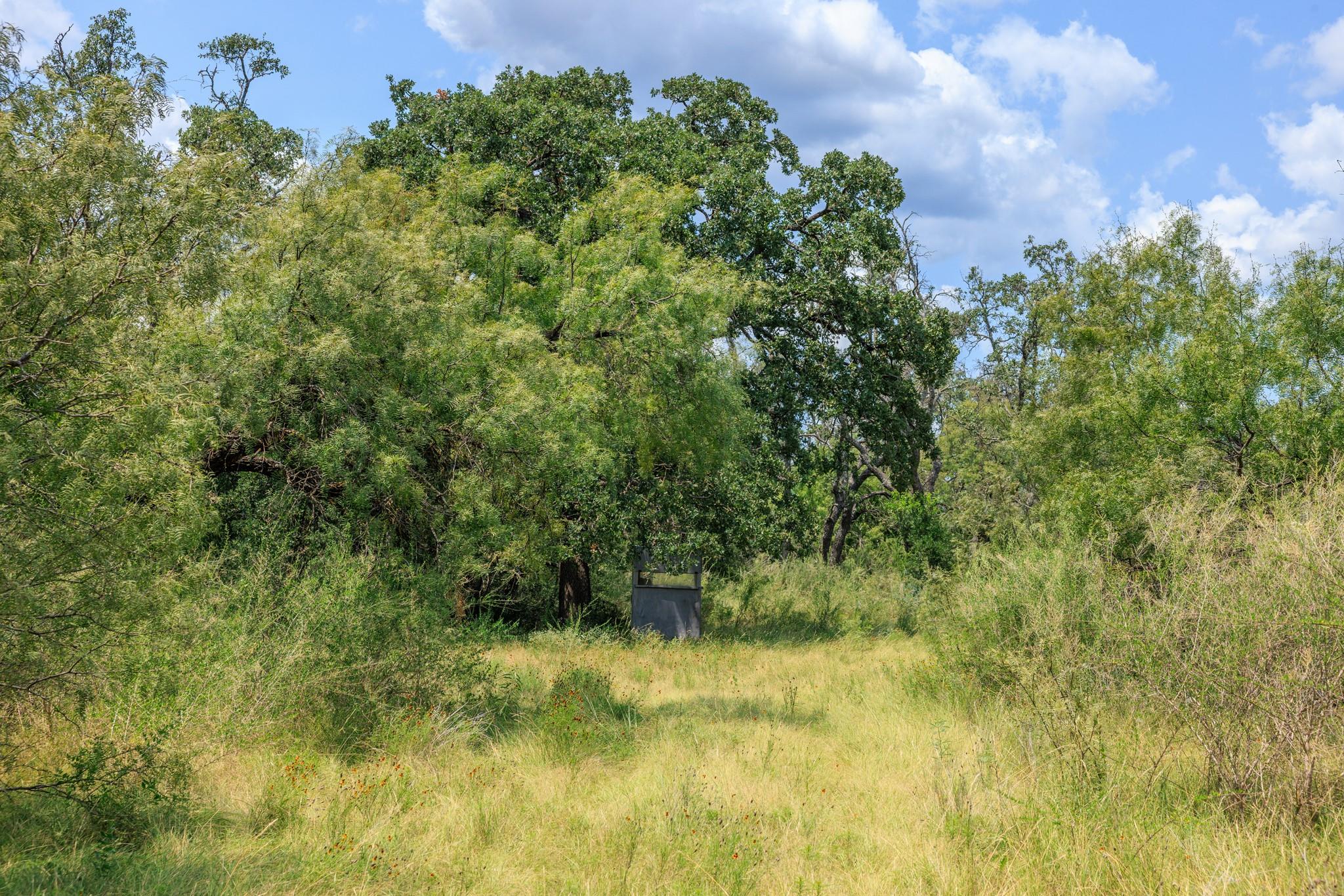 0 Ranch Road 648, Doss, TX 78618