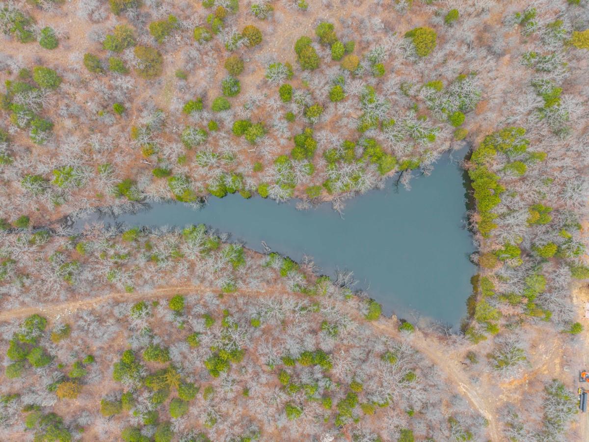 14091 Fm 2127 Bowie, Jacksboro, TX 76230