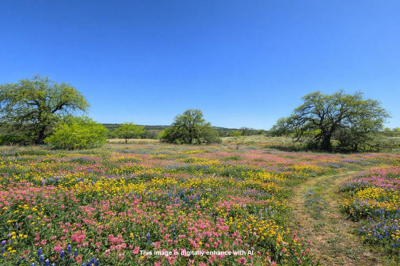 TBD Smith West Road Rd, Johnson City, TX 78636