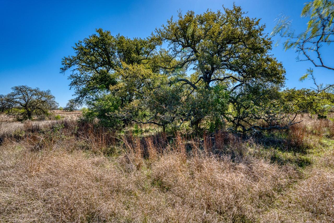 TBD Smith West Road Rd, Johnson City, TX 78636