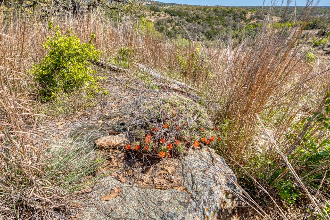 TBD Smith West Road Rd, Johnson City, TX 78636