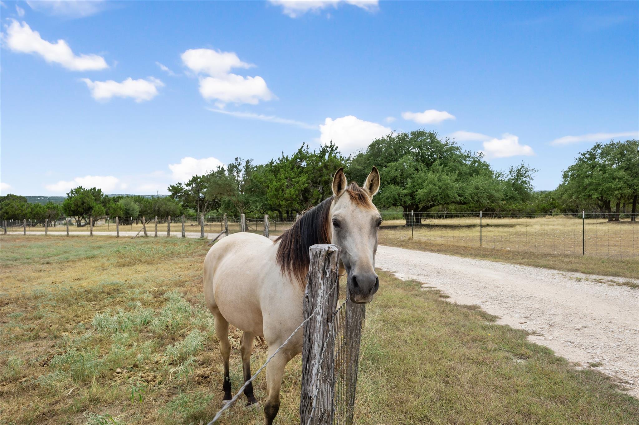 2400 W Fitzhugh Rd, Dripping Springs, TX 78620