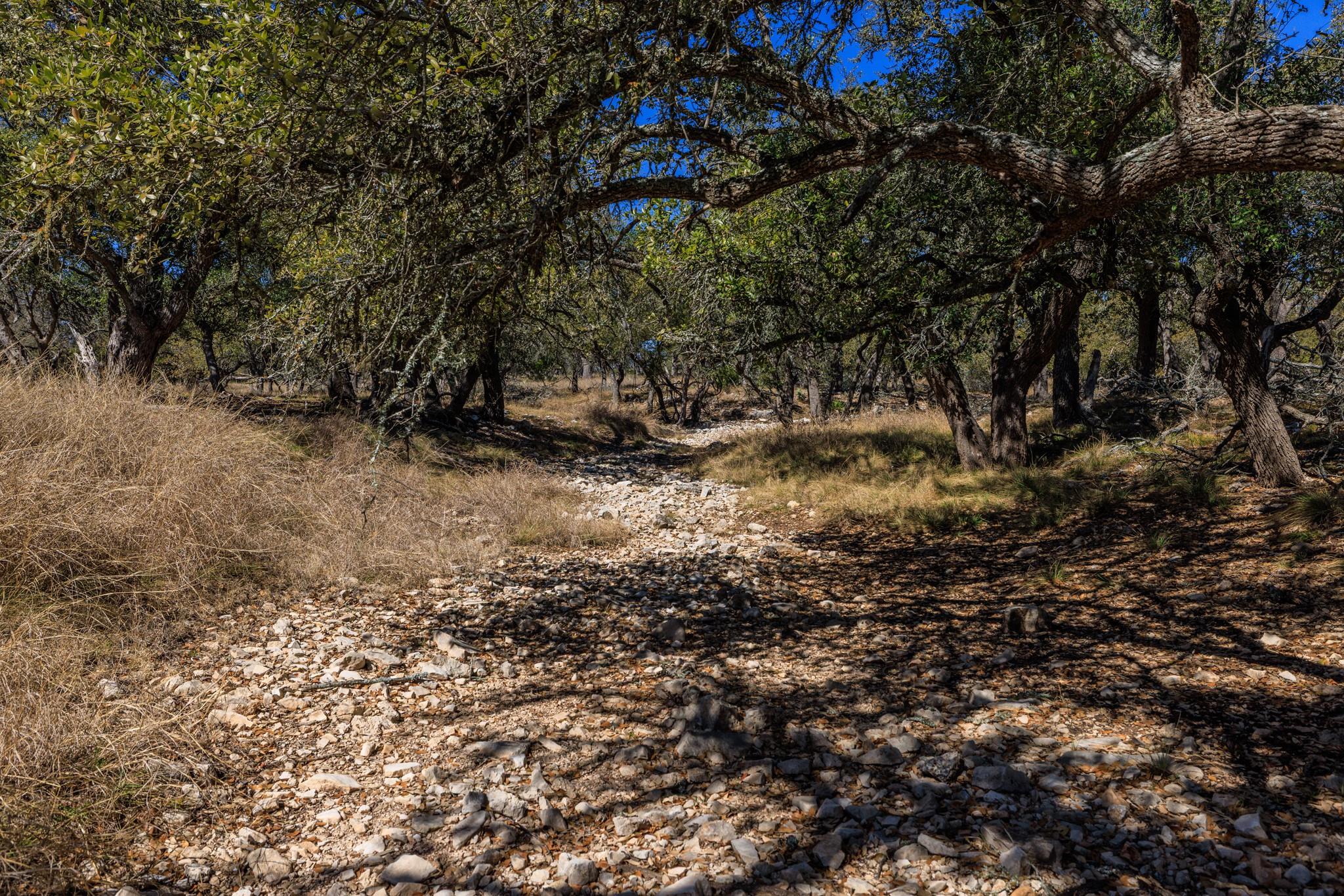 2020 Wendel Rd, Harper, TX 78631