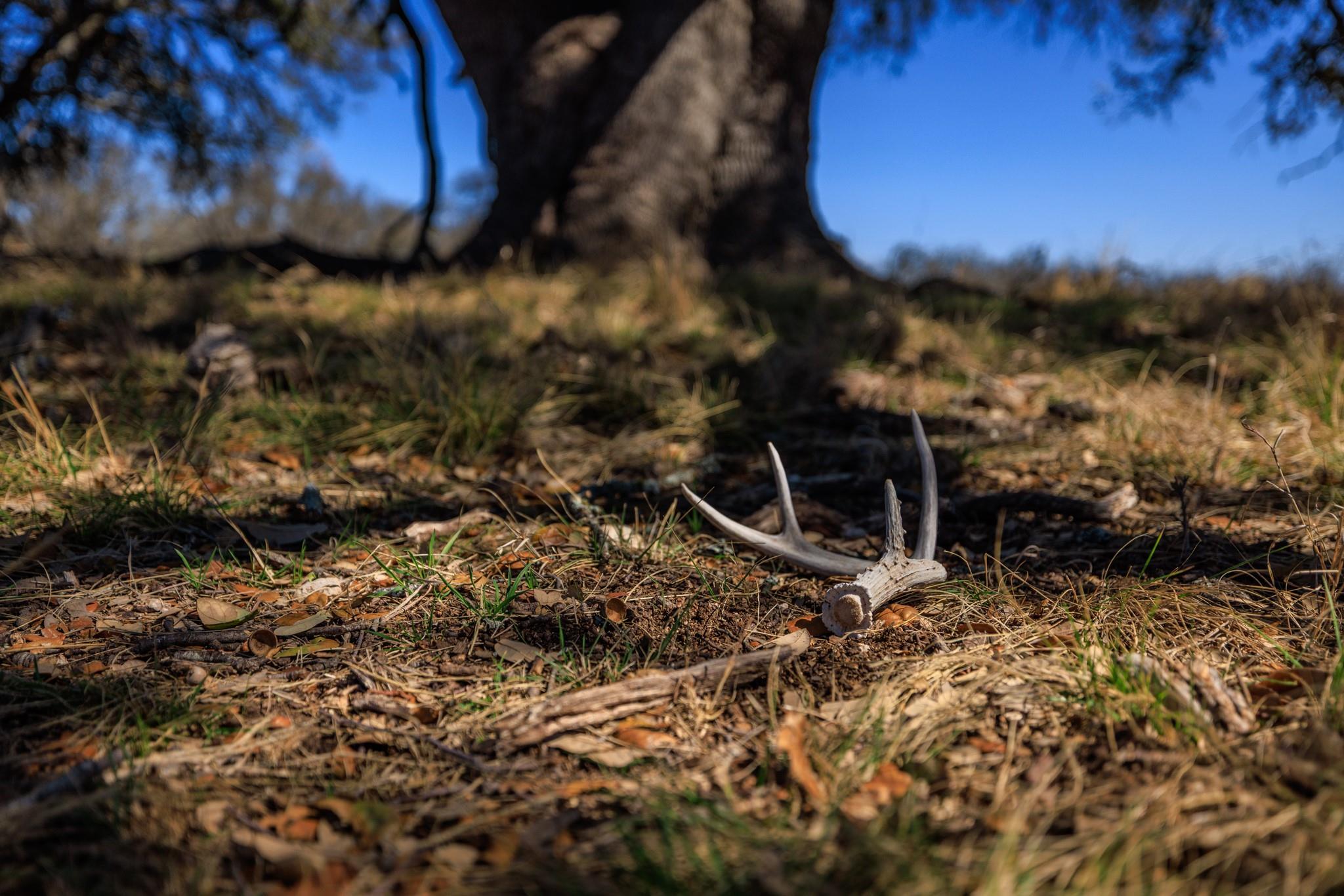 2020 Wendel Rd, Harper, TX 78631