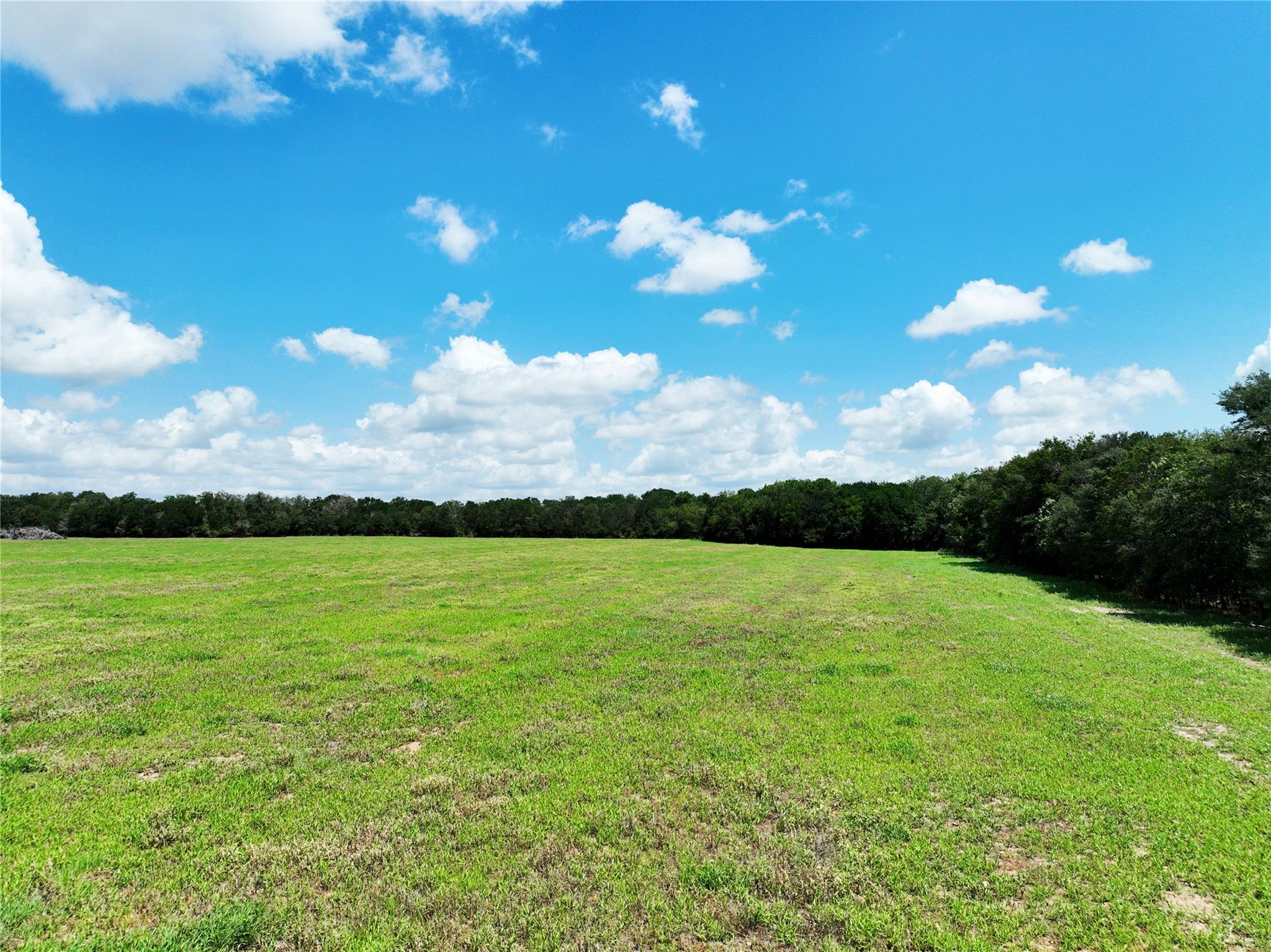 141 Grassyville Rd, Paige, TX 78659