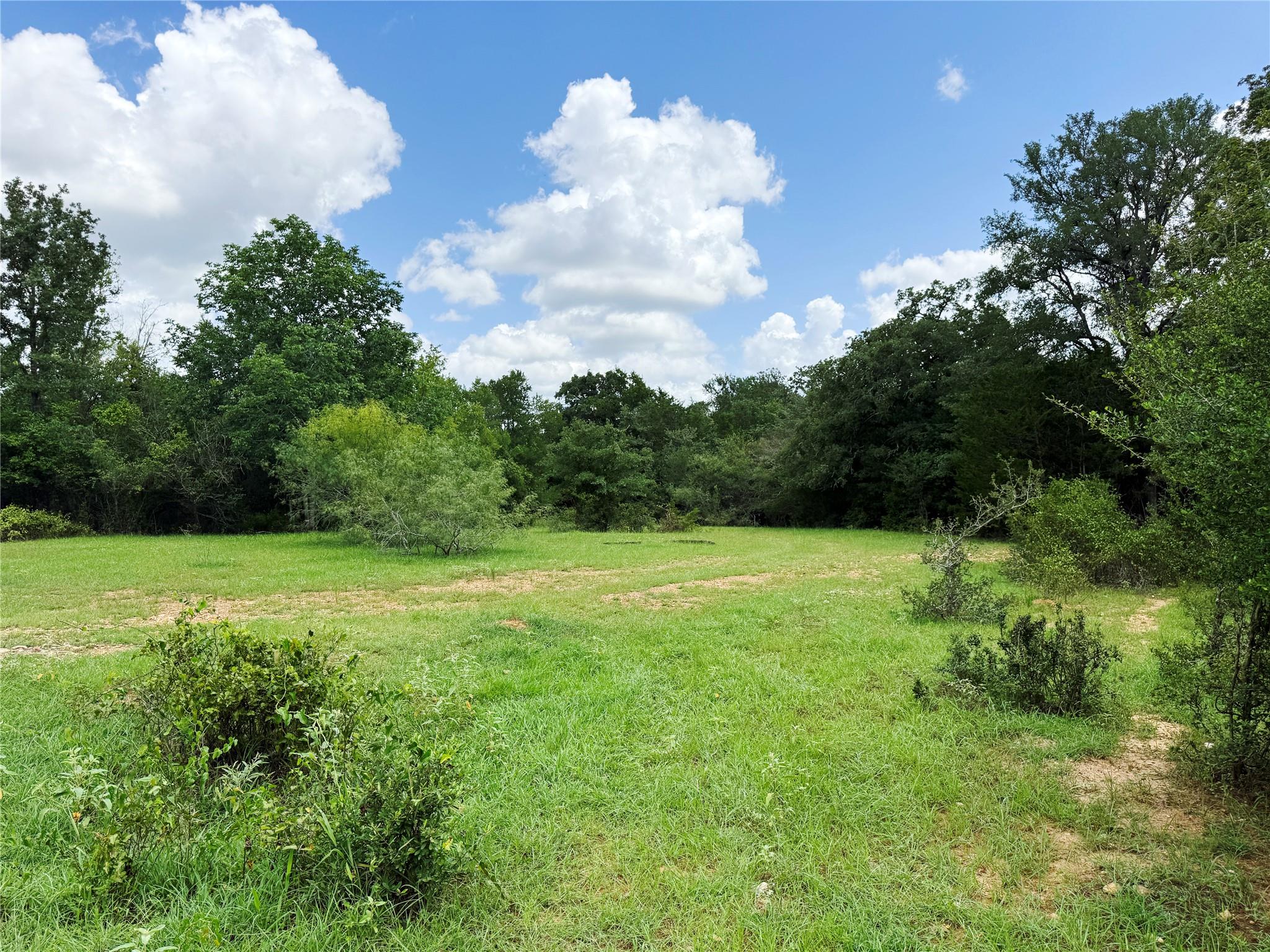 141 Grassyville Rd, Paige, TX 78659