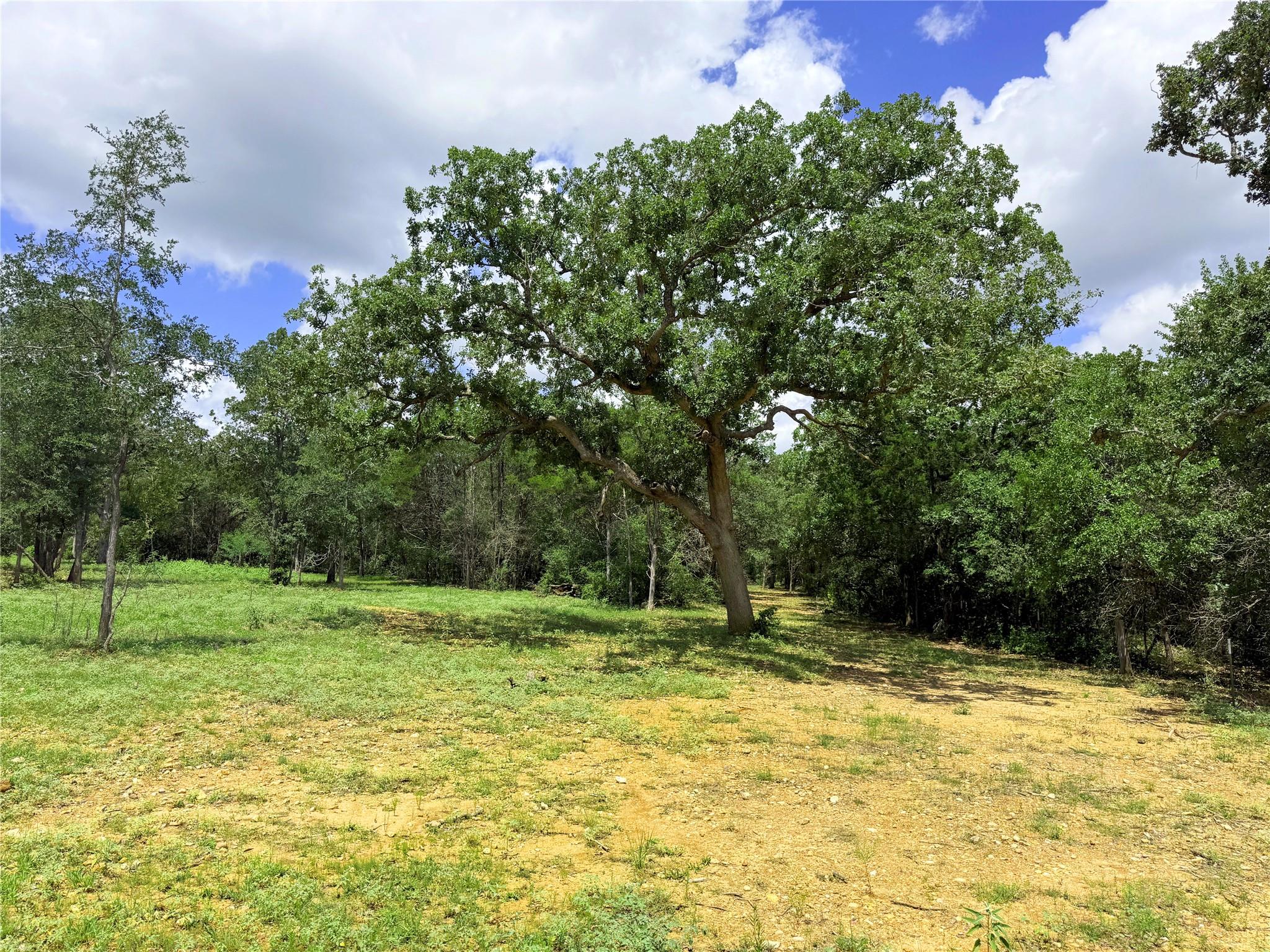 141 Grassyville Rd, Paige, TX 78659