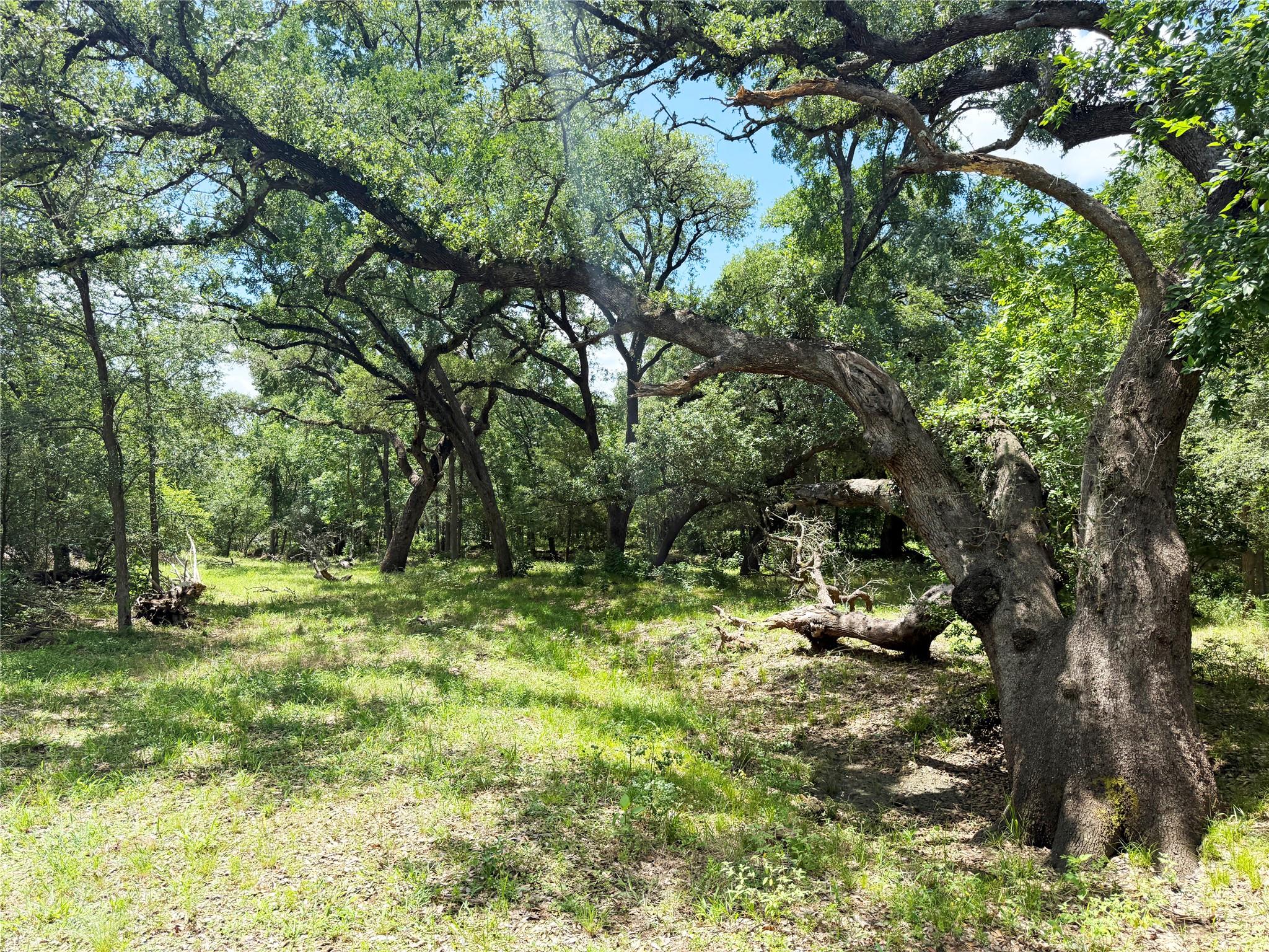 141 Grassyville Rd, Paige, TX 78659