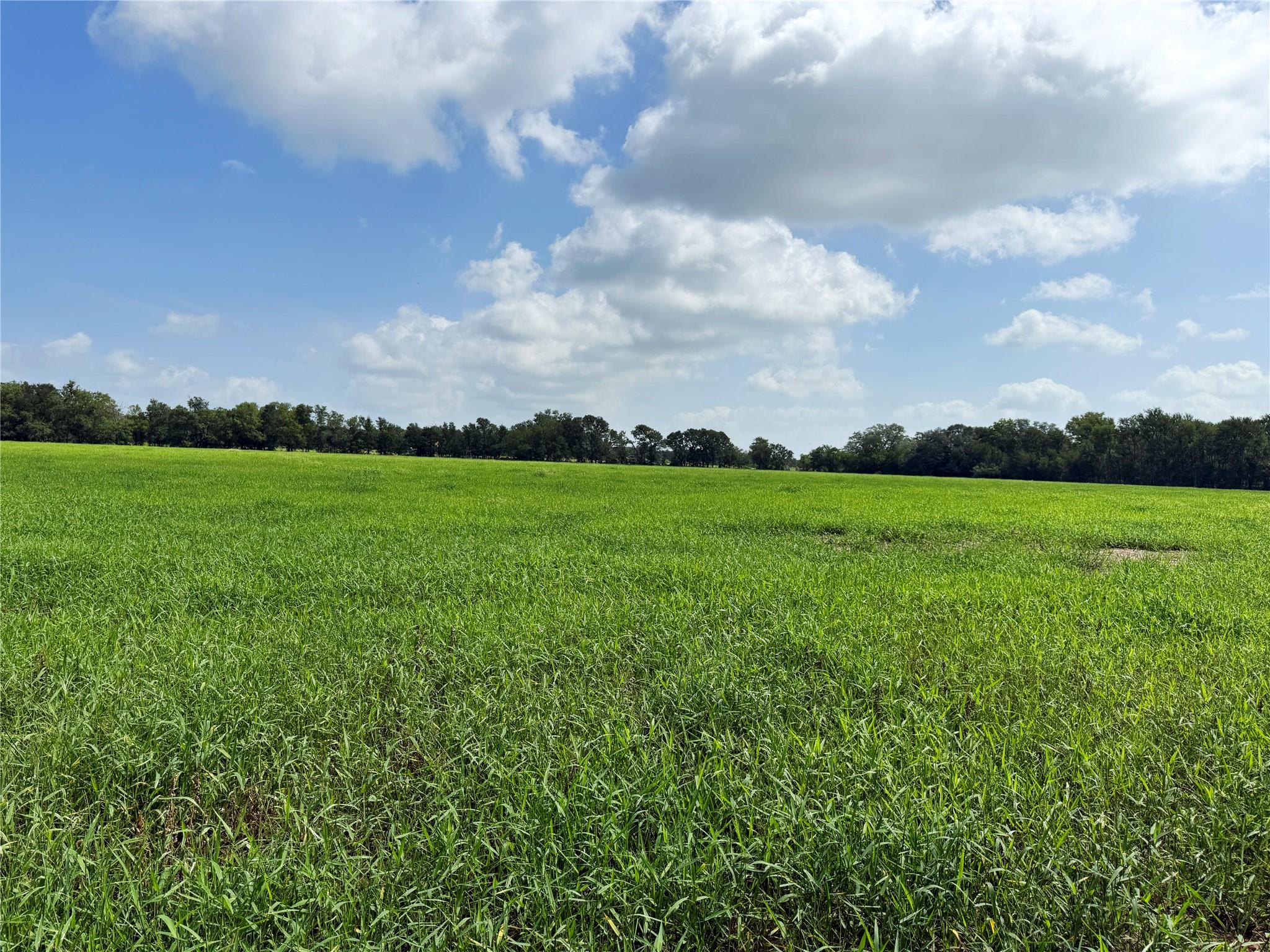 141 Grassyville Rd, Paige, TX 78659