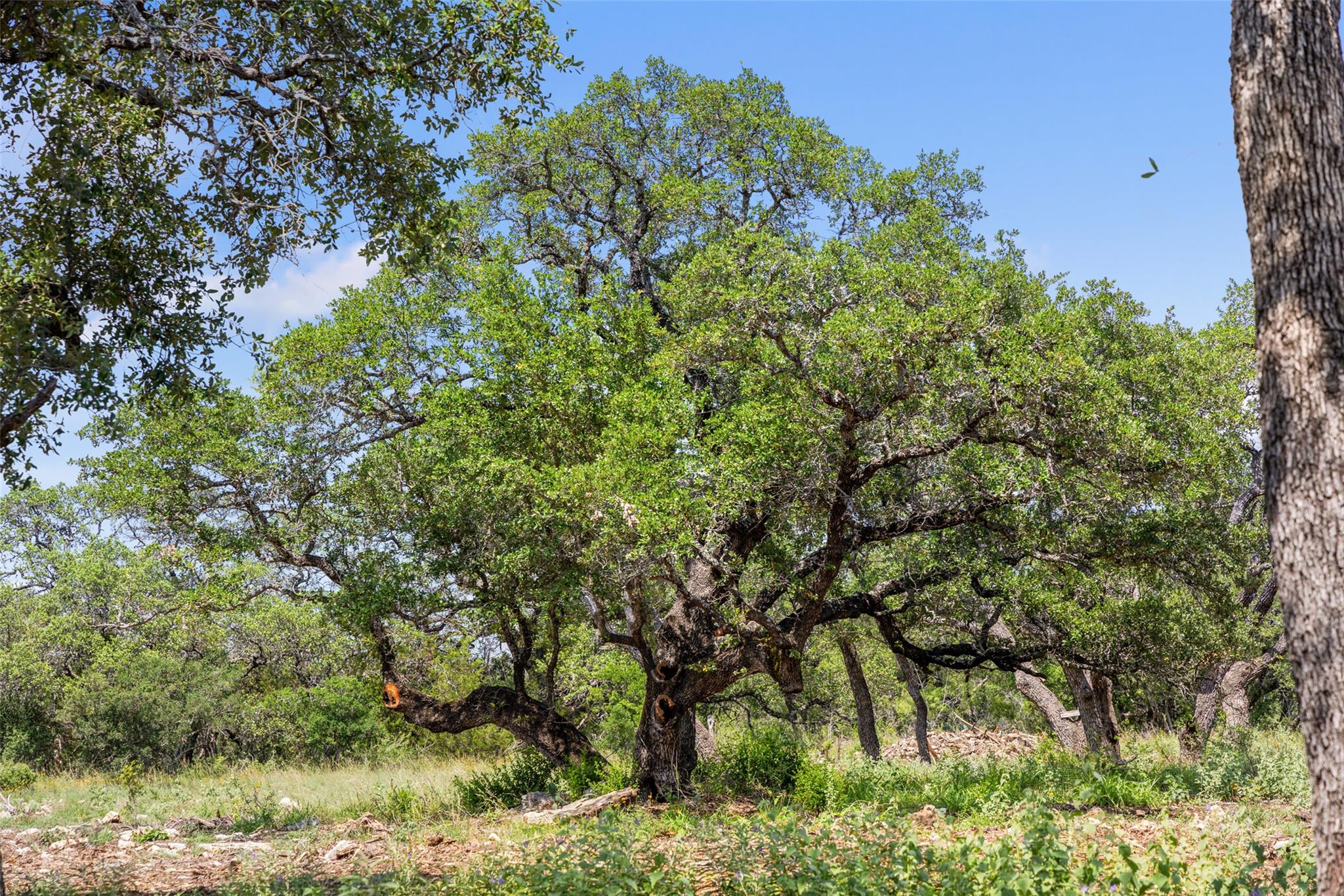 Lot 7 Pedernales Canyon Trl # Lot 7, Spicewood, TX 78669