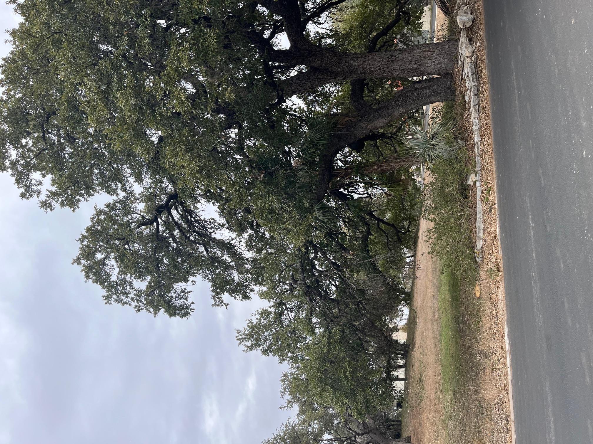 700 Red Sails Dr, Horseshoe Bay, TX 78657