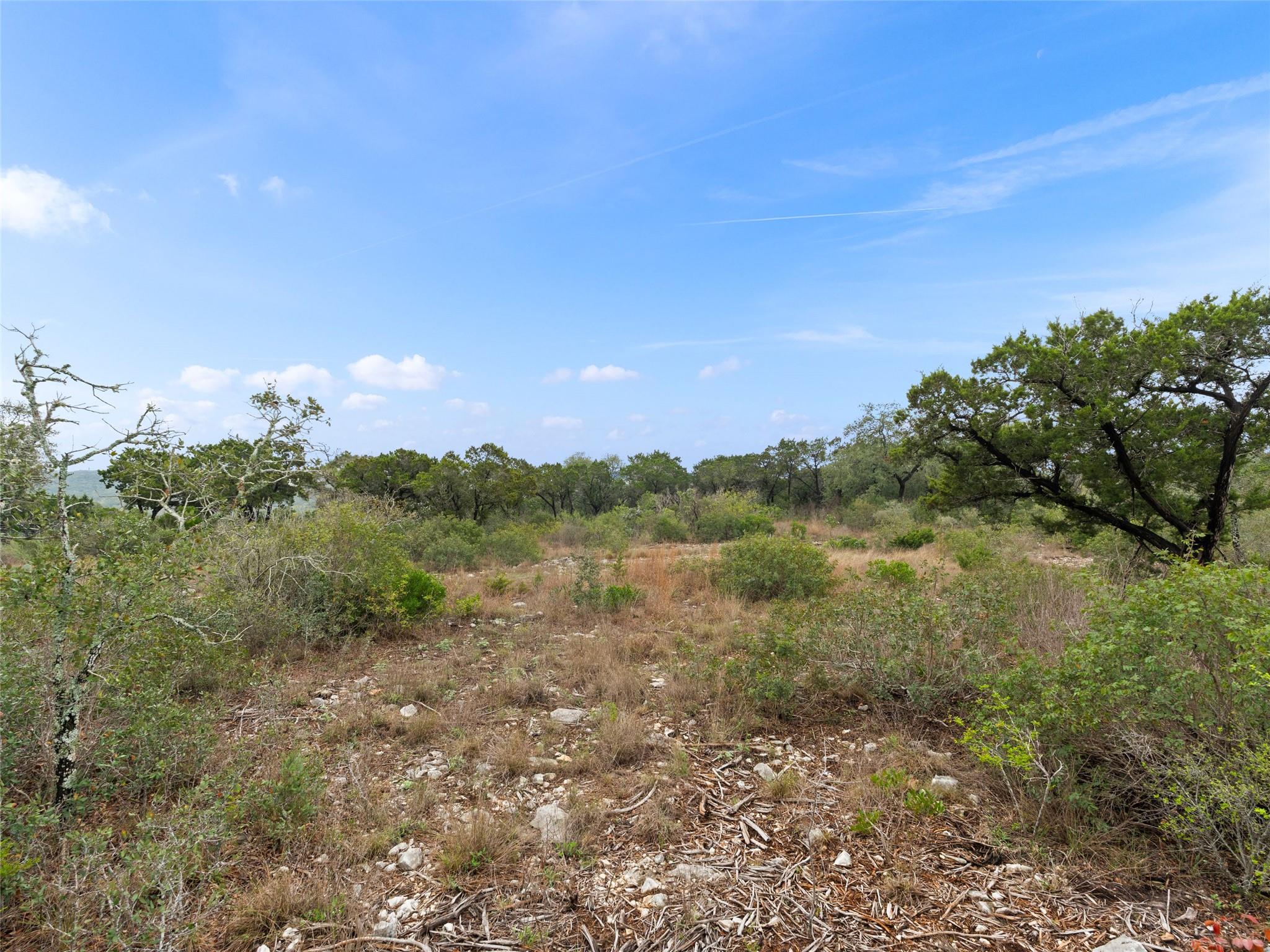 LOT 14, BLK 5 PR 2777, Mico, TX 78056