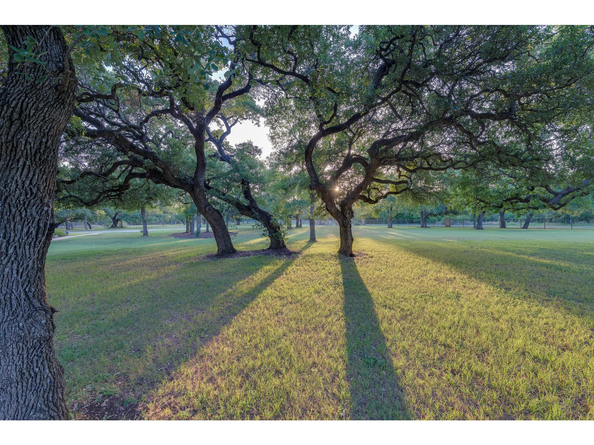 30201 LIVE OAK Trl, Georgetown, TX 78633