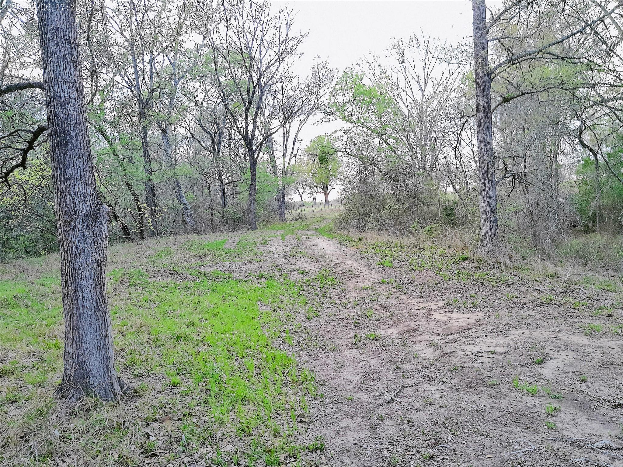 1042 Los Ranchitos Rd, Cameron, TX 76520