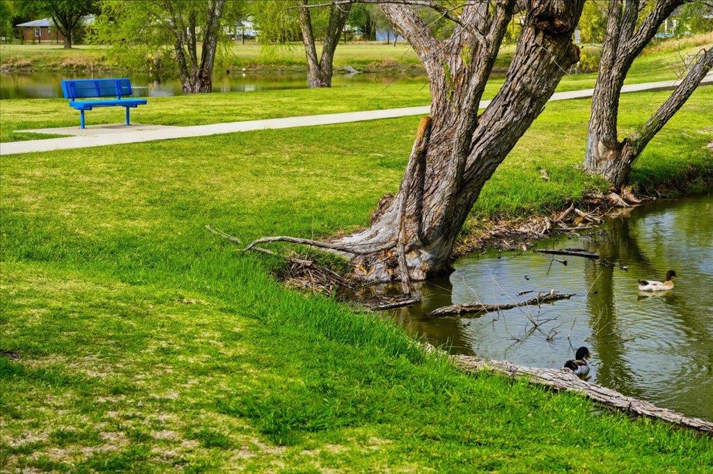 137 Crescent Dr, Buda, TX 78610