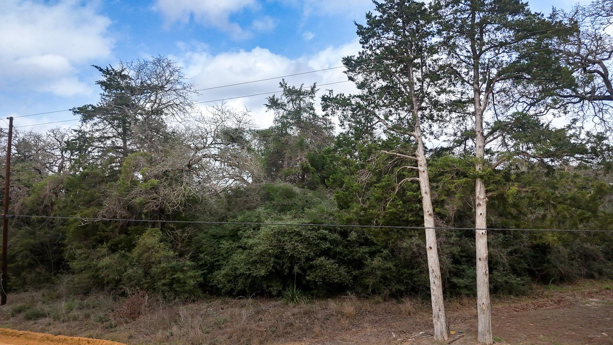 1244 Yaupon Dr, Caldwell, TX 77836