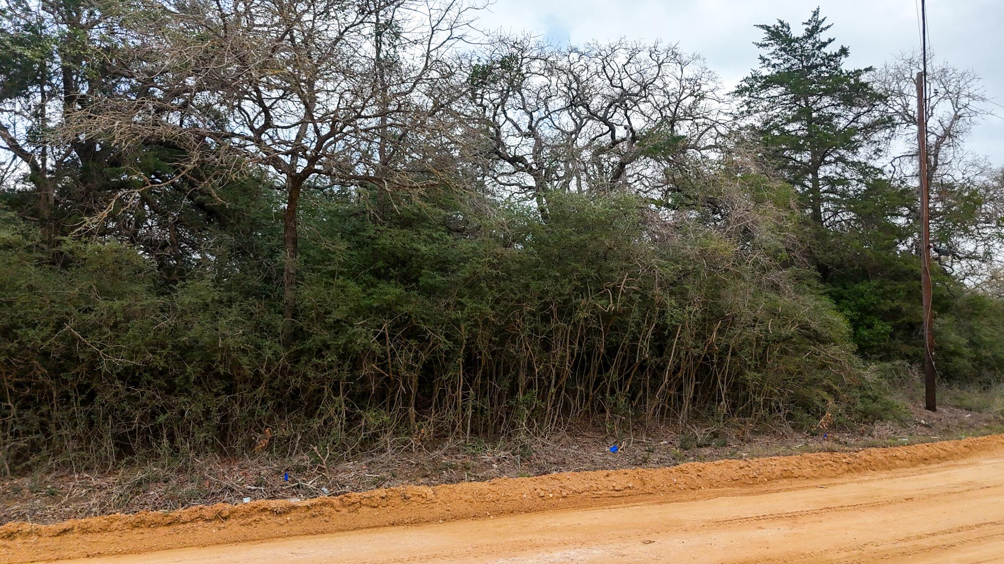 1244 Yaupon Dr, Caldwell, TX 77836