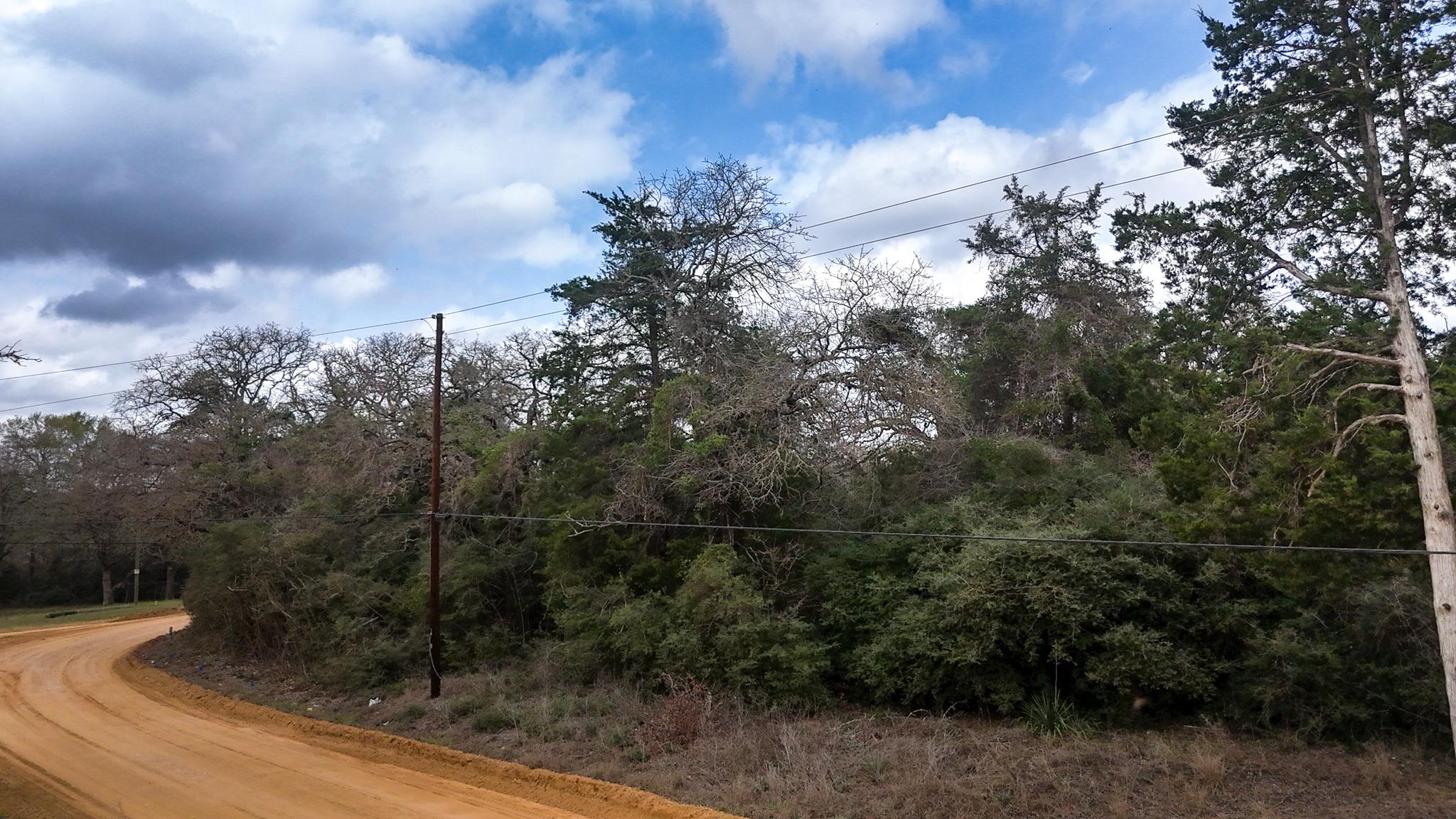 1244 Yaupon Dr, Caldwell, TX 77836