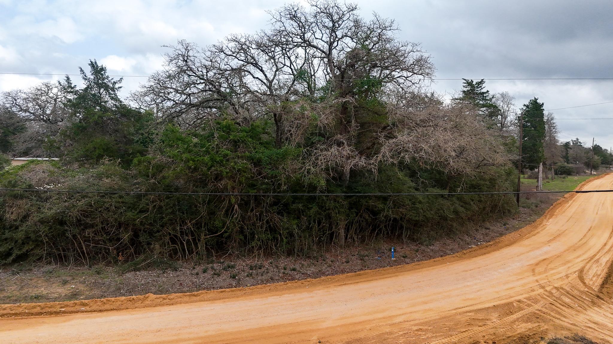 1244 Yaupon Dr, Caldwell, TX 77836