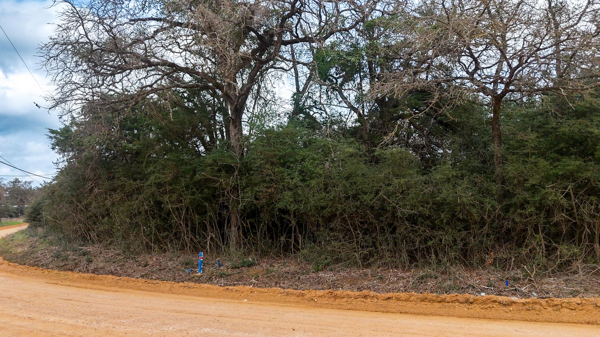 1244 Yaupon Dr, Caldwell, TX 77836