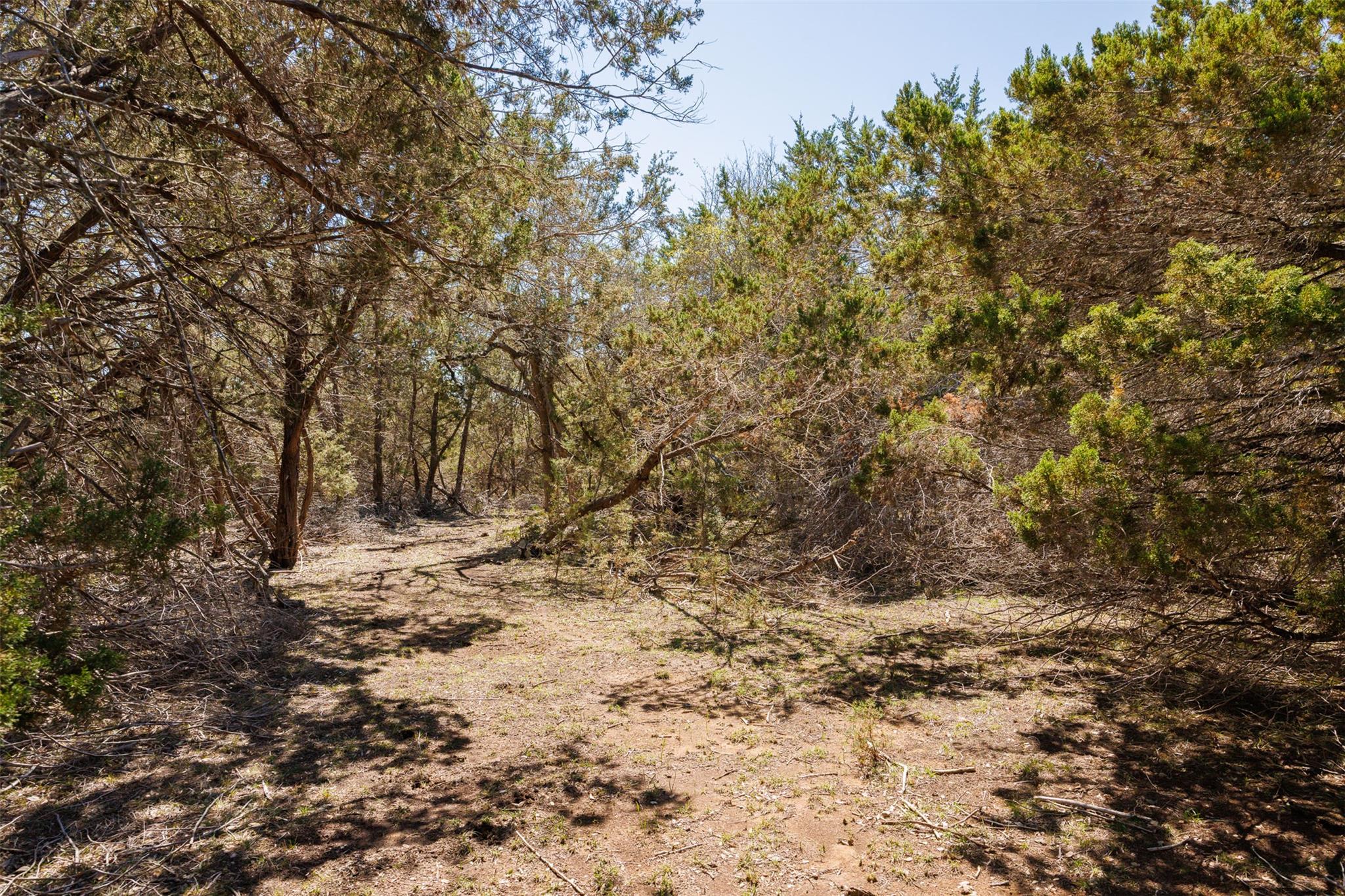274 Ira Hill Rd, Dripping Springs, TX 78620